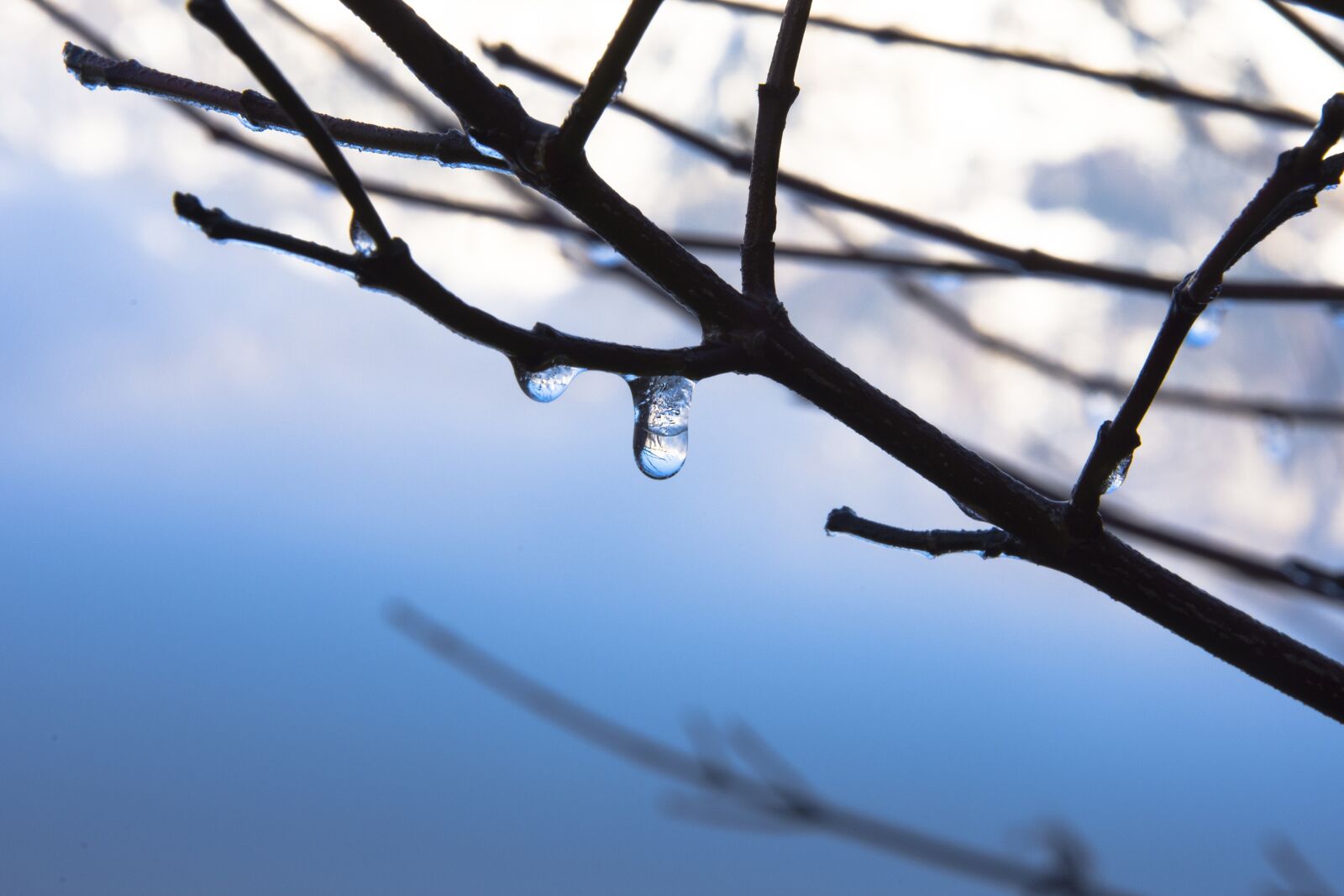 Nikon D7200 sample photo. Ice, eistropfen, drip photography