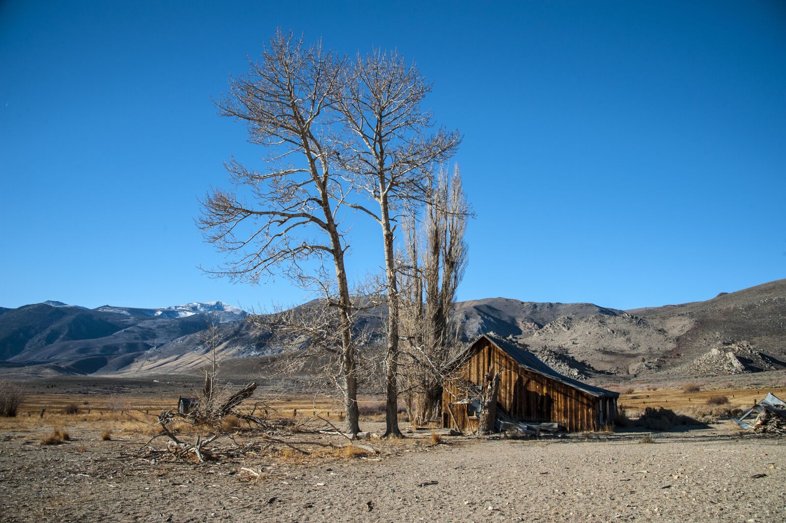 Nikon D3 sample photo. Hut, tree, landscape photography