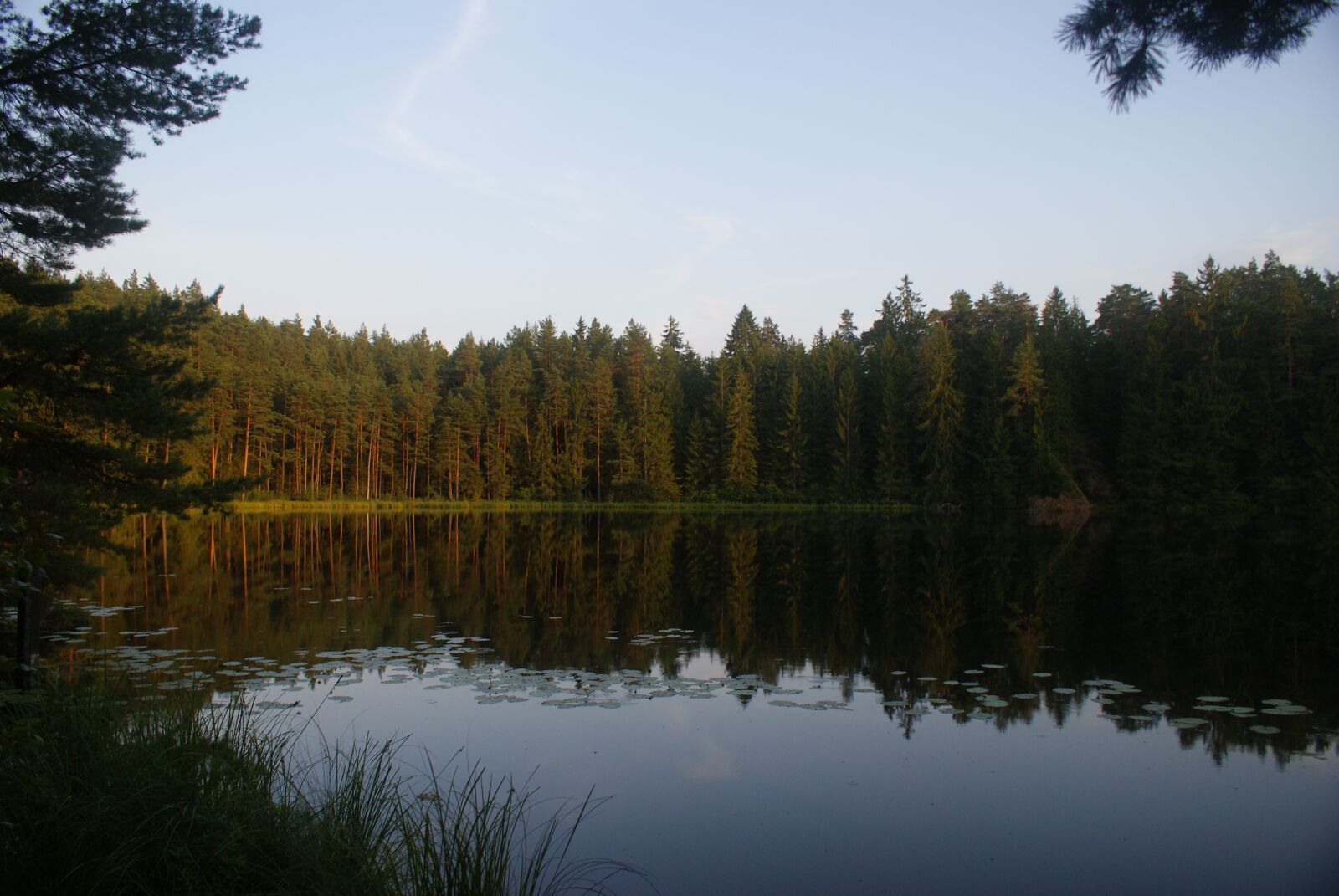 Sony Alpha DSLR-A200 sample photo. Cookies, lake, forest photography