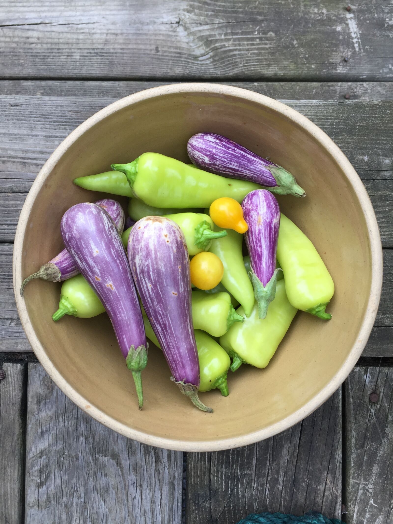 Apple iPhone 6 sample photo. Vegetables, bowl, eggplant photography