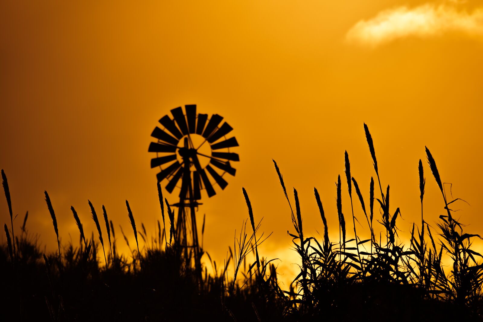 Nikon D3300 sample photo. Windmill, reeds, sunset photography