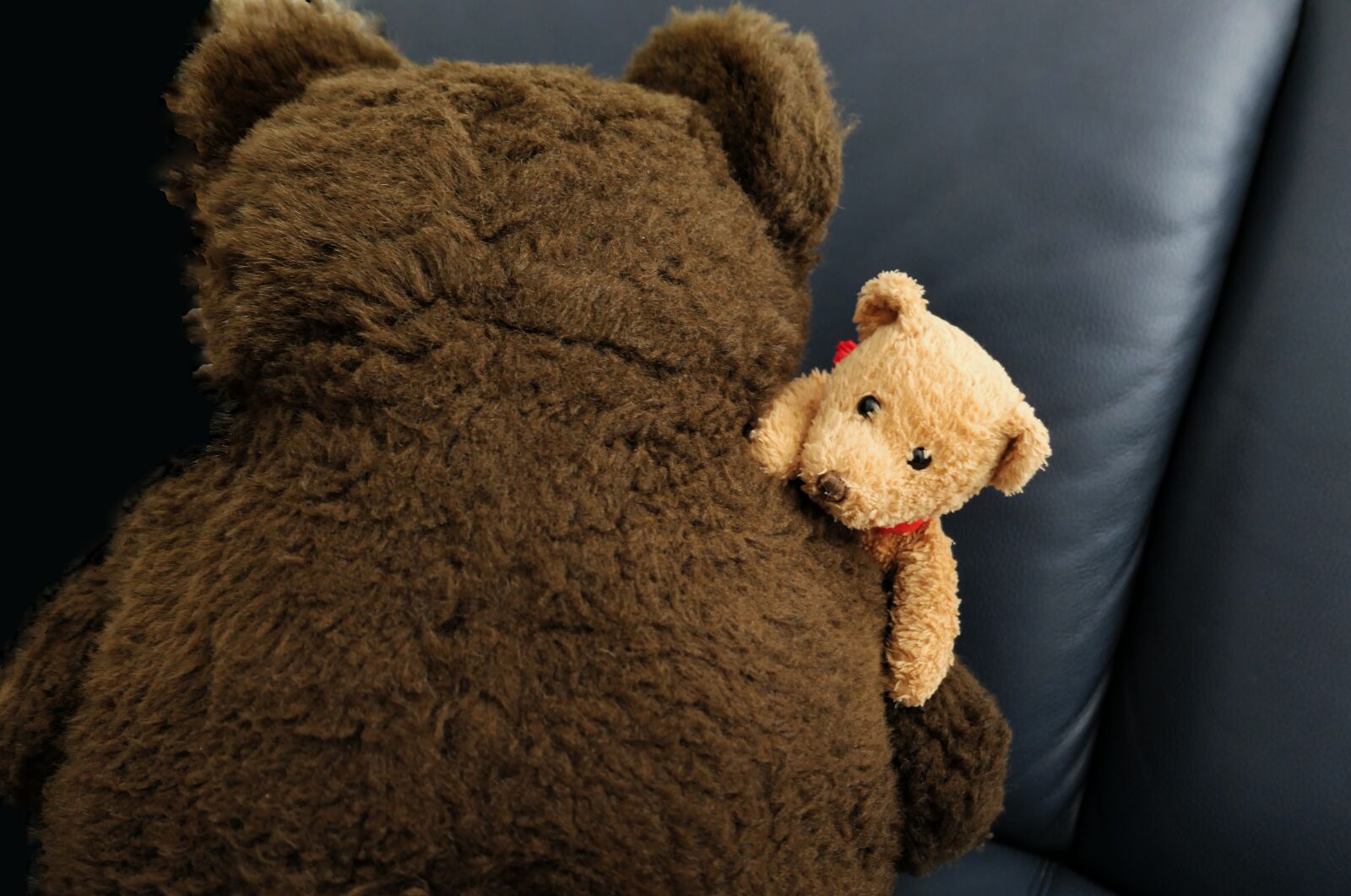 Panasonic Lumix DMC-LX10 (Lumix DMC-LX15) sample photo. Plush toys, bears teddy photography