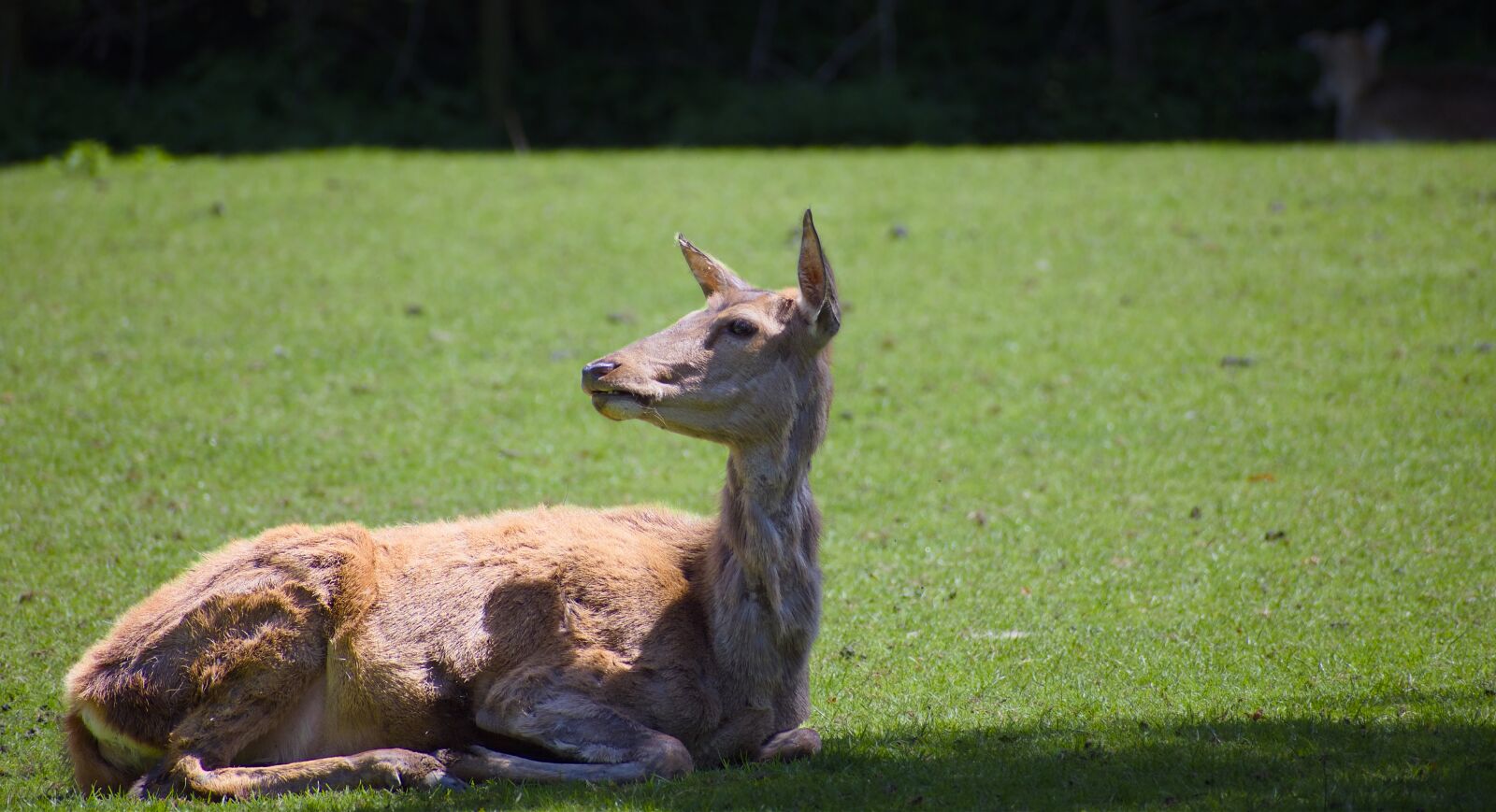 Nikon D7200 sample photo