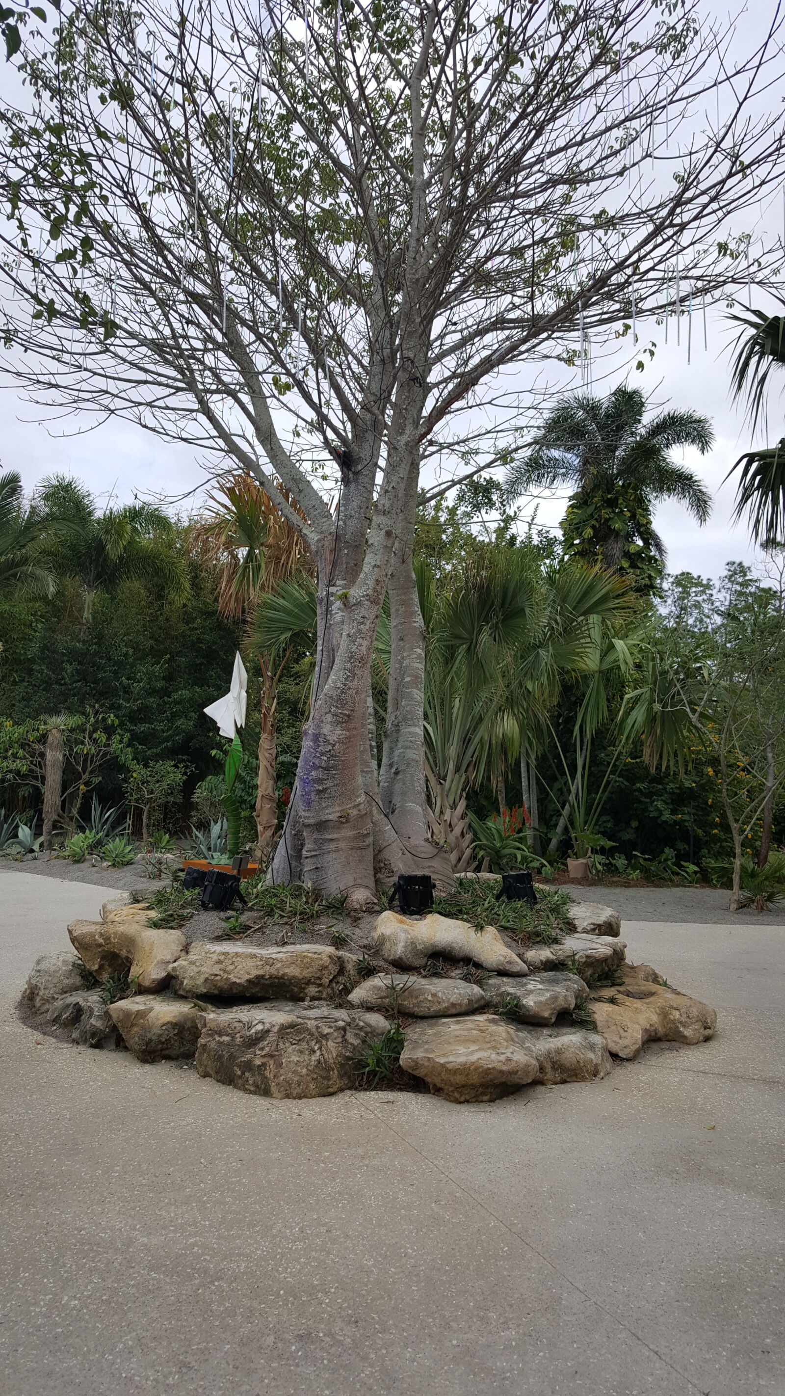 Samsung GALAXY S6 edge sample photo. Botanical, gardens photography