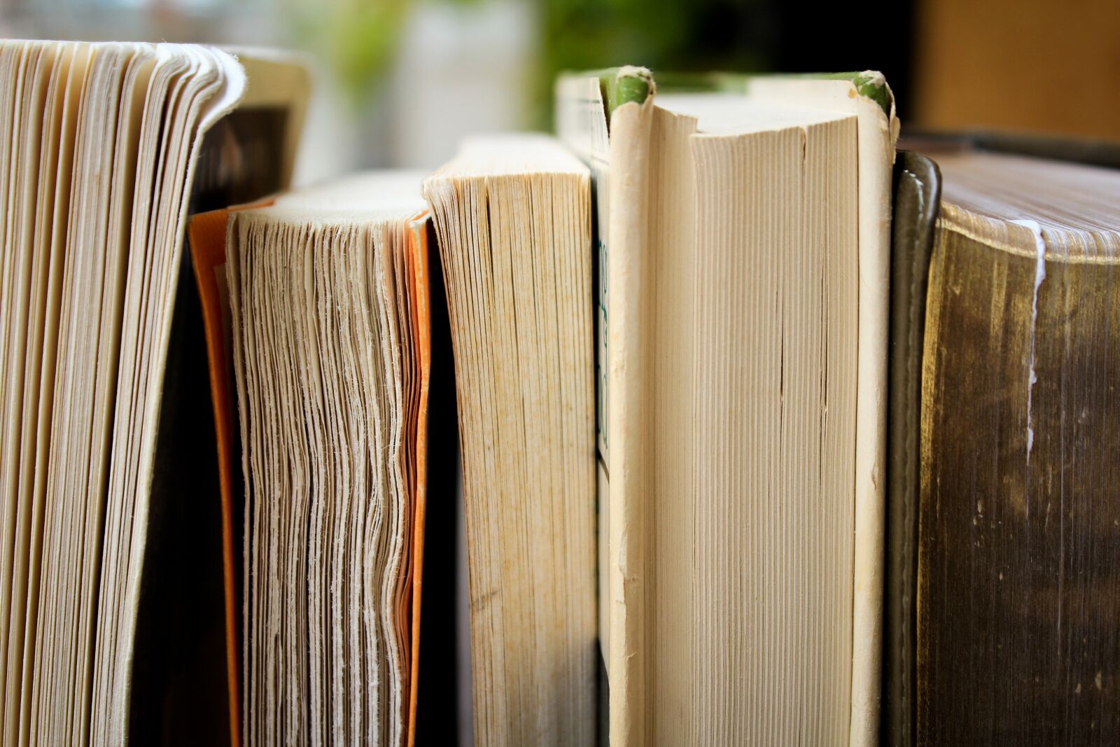 Canon EOS 600D (Rebel EOS T3i / EOS Kiss X5) sample photo. Books, education, library photography