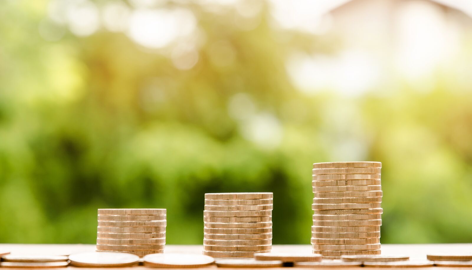 Nikon D610 sample photo. Money, finance, business photography