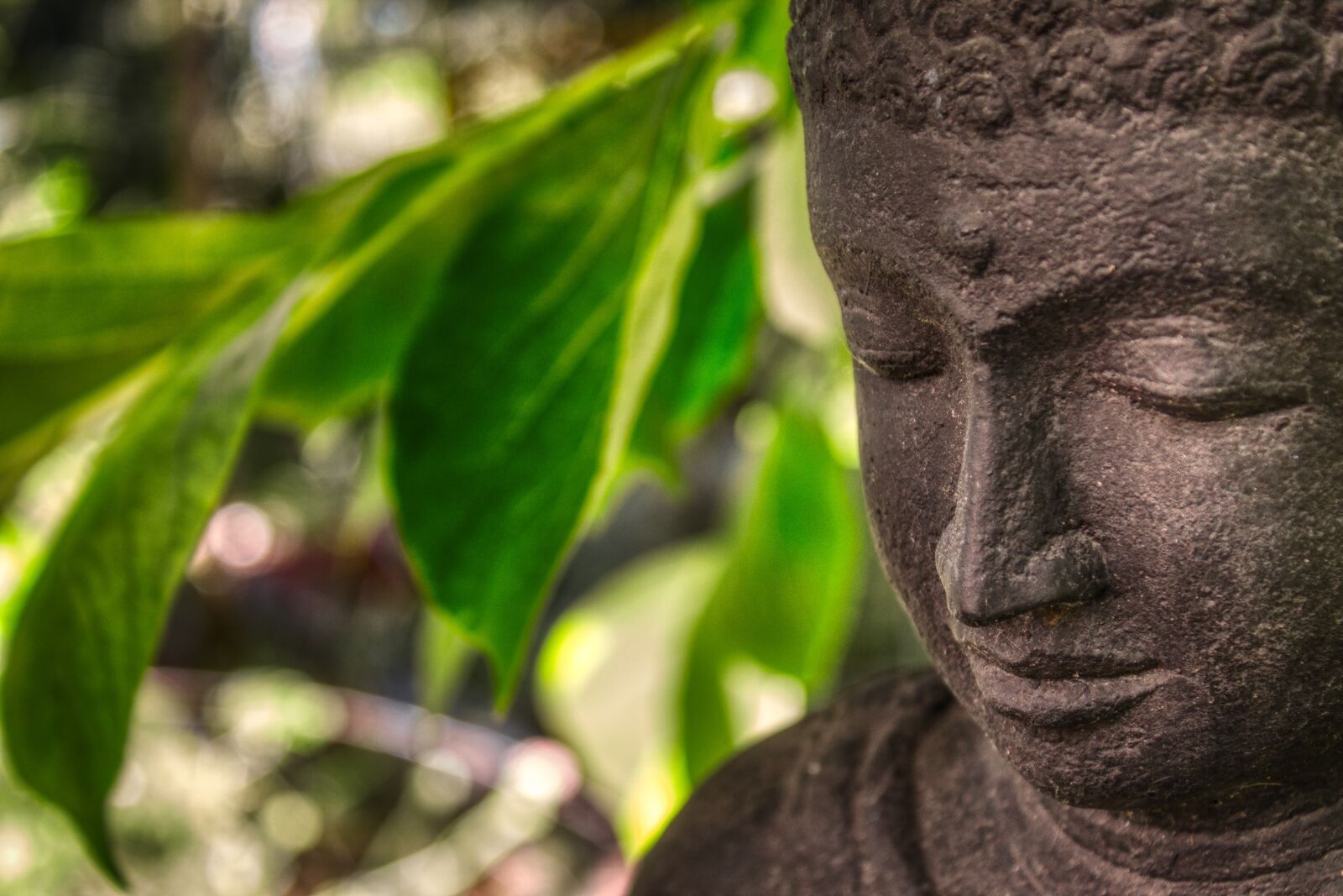 Canon EOS 1100D (EOS Rebel T3 / EOS Kiss X50) sample photo. Buddha, relaxation, art photography