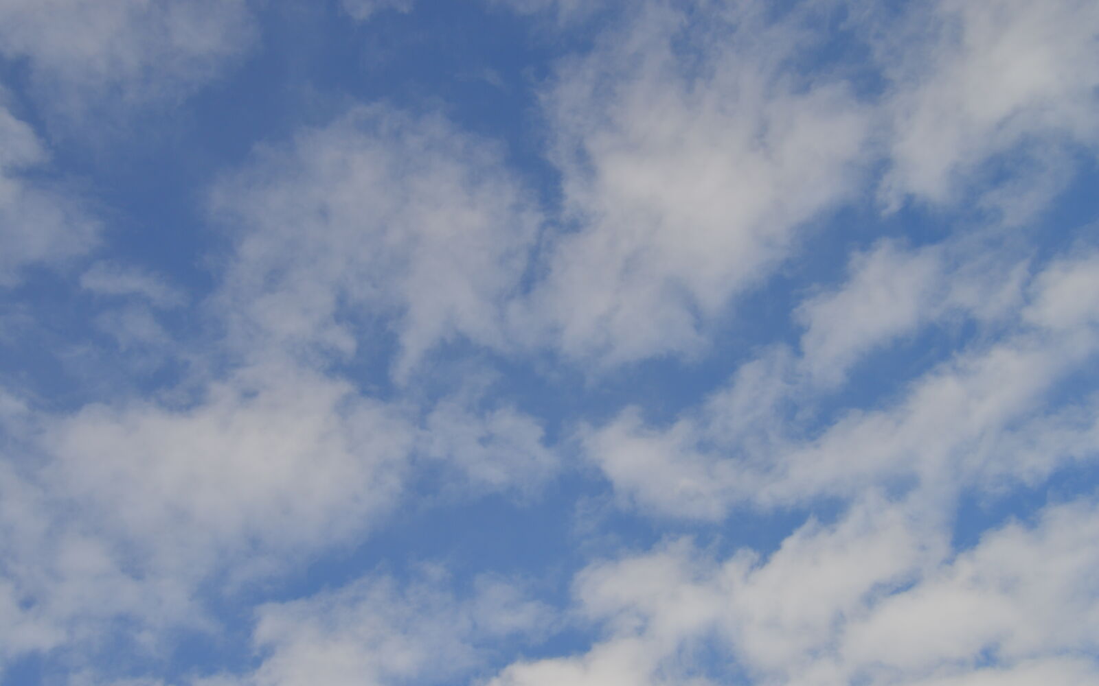 Nikon D3200 sample photo