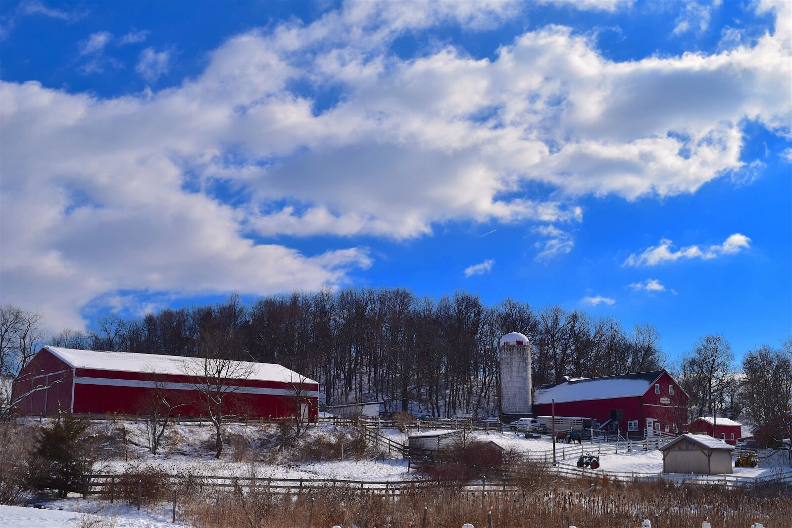 Nikon D3300 sample photo. Winter, farm, snow photography