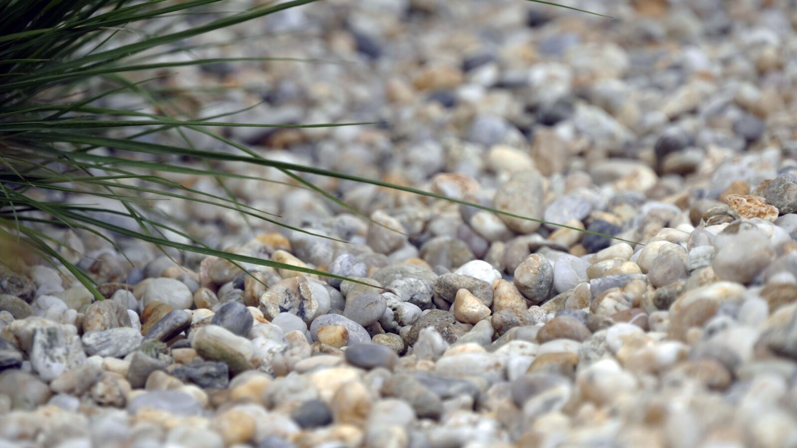Panasonic Lumix DMC-GH4 sample photo. Pebbles, grass, nature photography