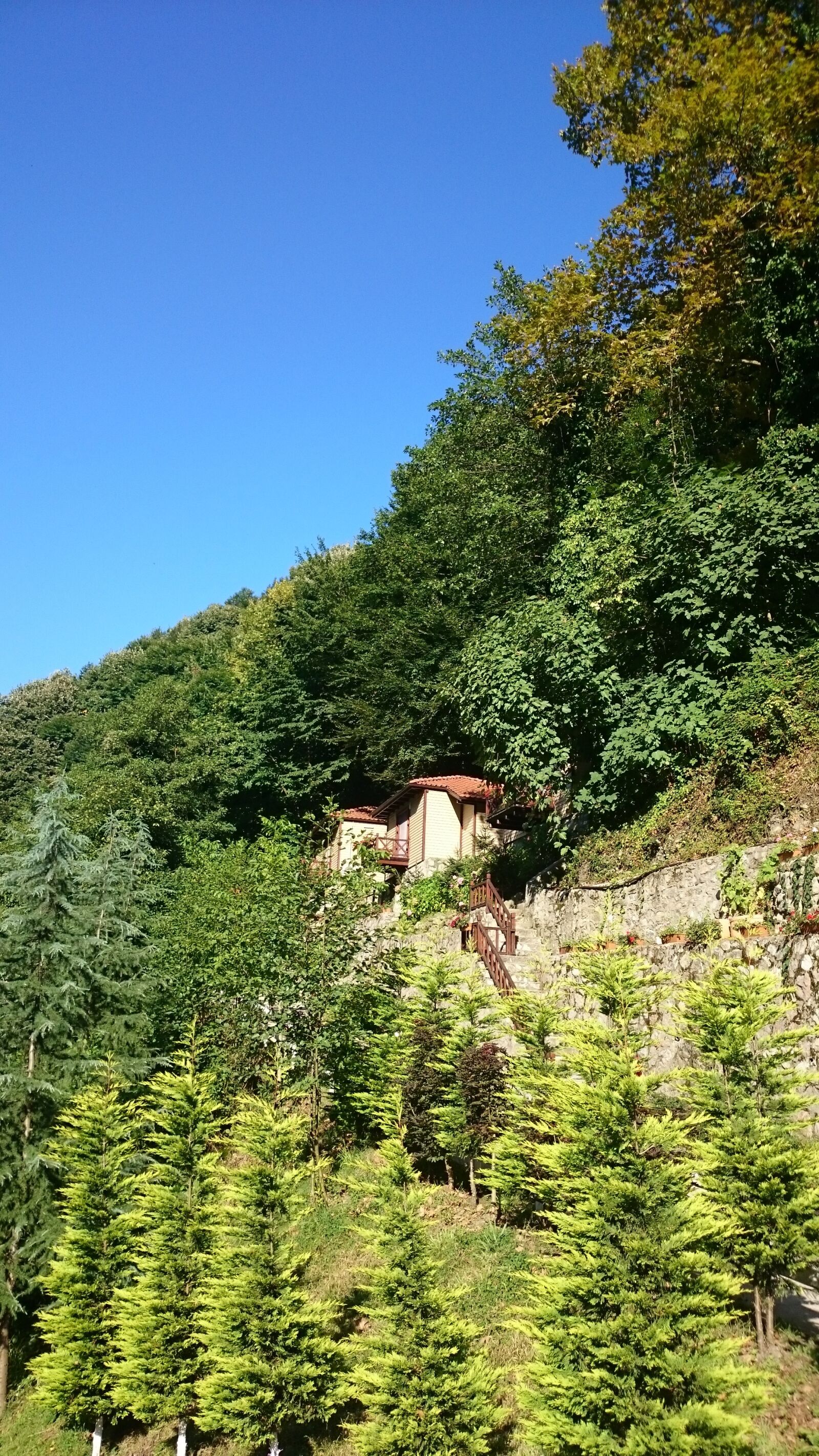 Sony Xperia Z1 sample photo. Nature, summer house in photography