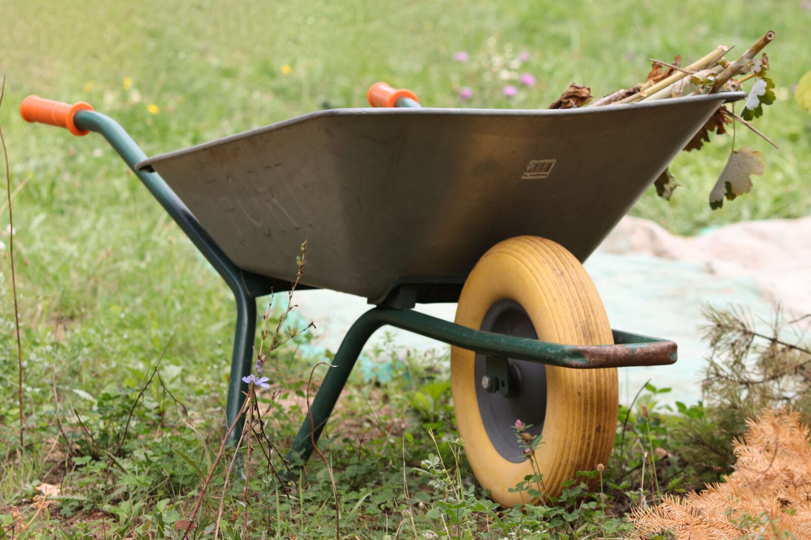 Canon EOS 200D (EOS Rebel SL2 / EOS Kiss X9) sample photo. Wheelbarrows, wheelbarrow, grass photography