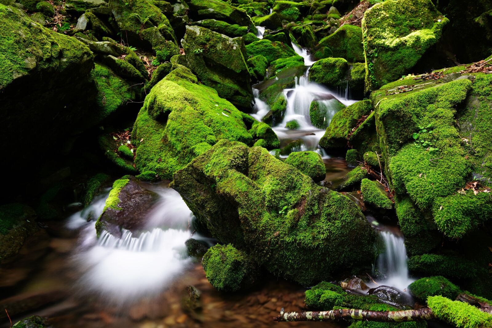 Sony a7R III sample photo. Waterfall, moss, korea photography