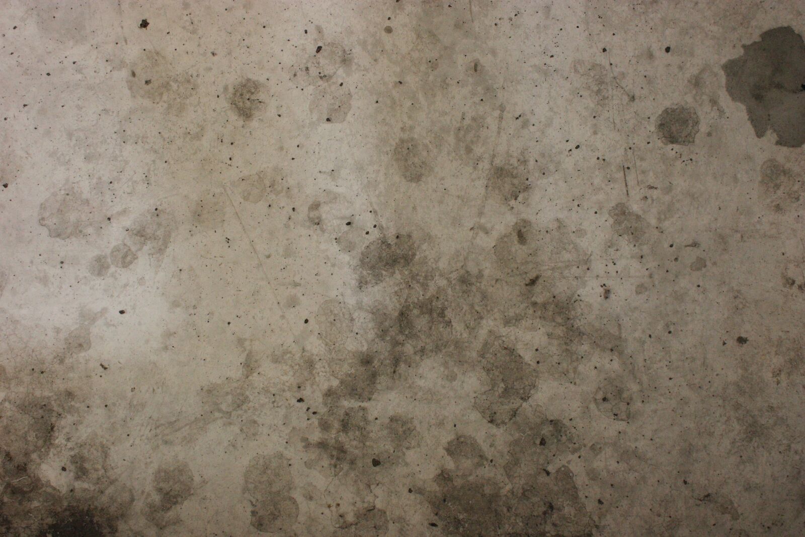 Canon EOS 450D (EOS Rebel XSi / EOS Kiss X2) sample photo. Cement, wall, gray photography