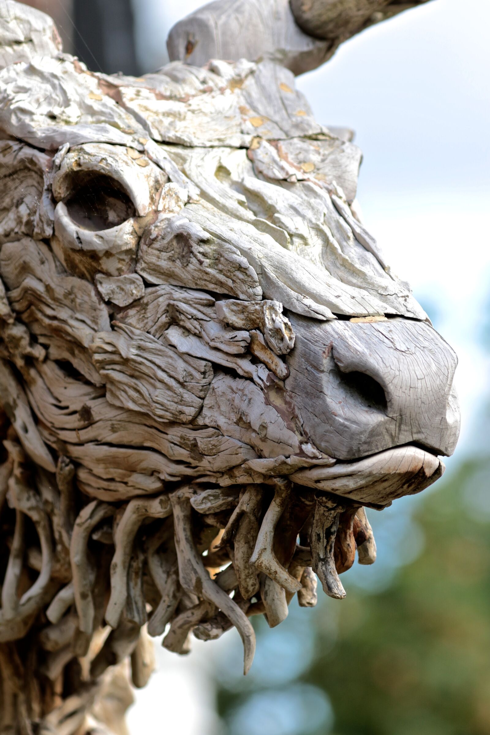 Canon EOS 7D Mark II sample photo. Wood art, deer, decoration photography