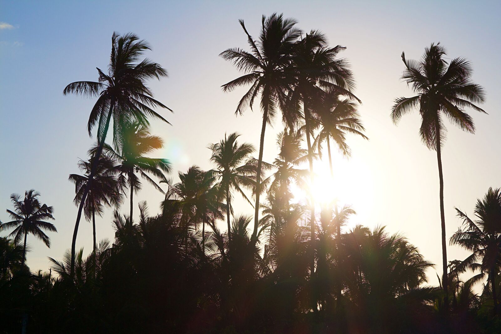 Canon EOS 600D (Rebel EOS T3i / EOS Kiss X5) sample photo. Tanzania, zanzibar, africa photography