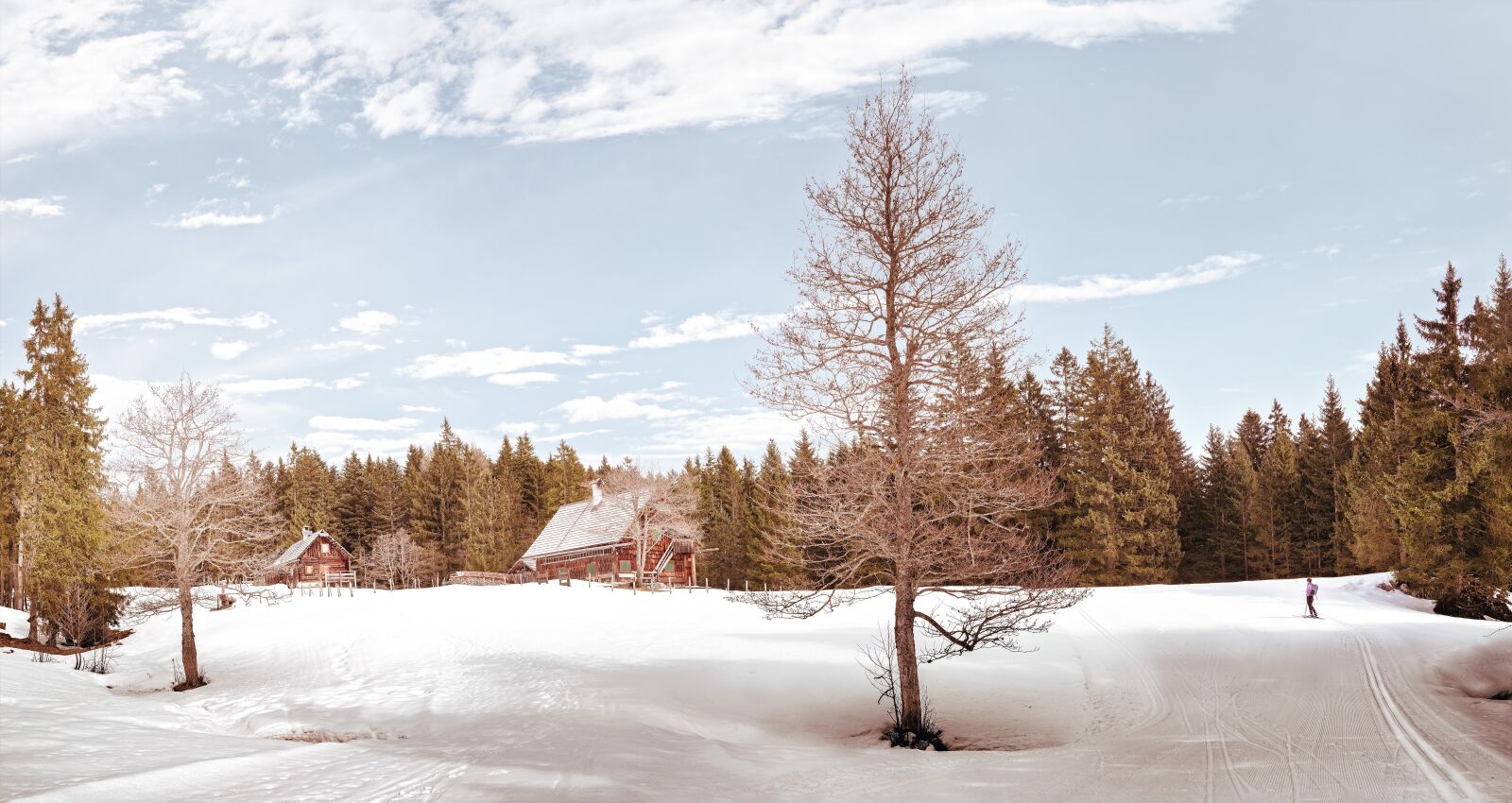 OLYMPUS M.25mm F1.2 sample photo. Wintry, alm, alpine photography