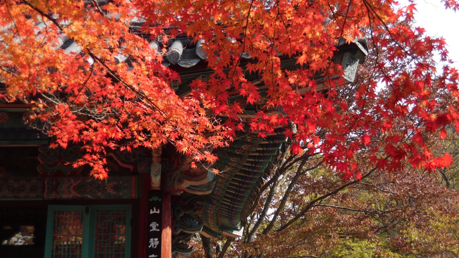 Samsung WB50F/WB51F/WB52F sample photo. Mount sanqing, my, autumn photography