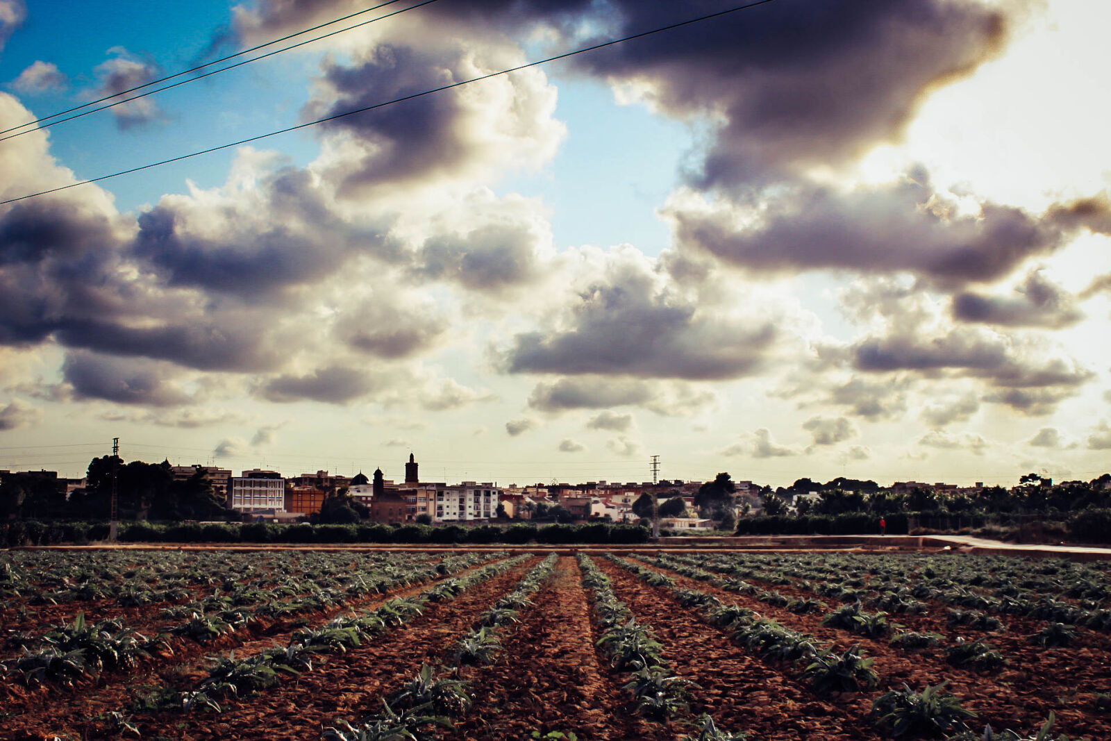 Canon EOS 1300D (EOS Rebel T6 / EOS Kiss X80) sample photo. Agriculture, buildings, cielo, clouds photography