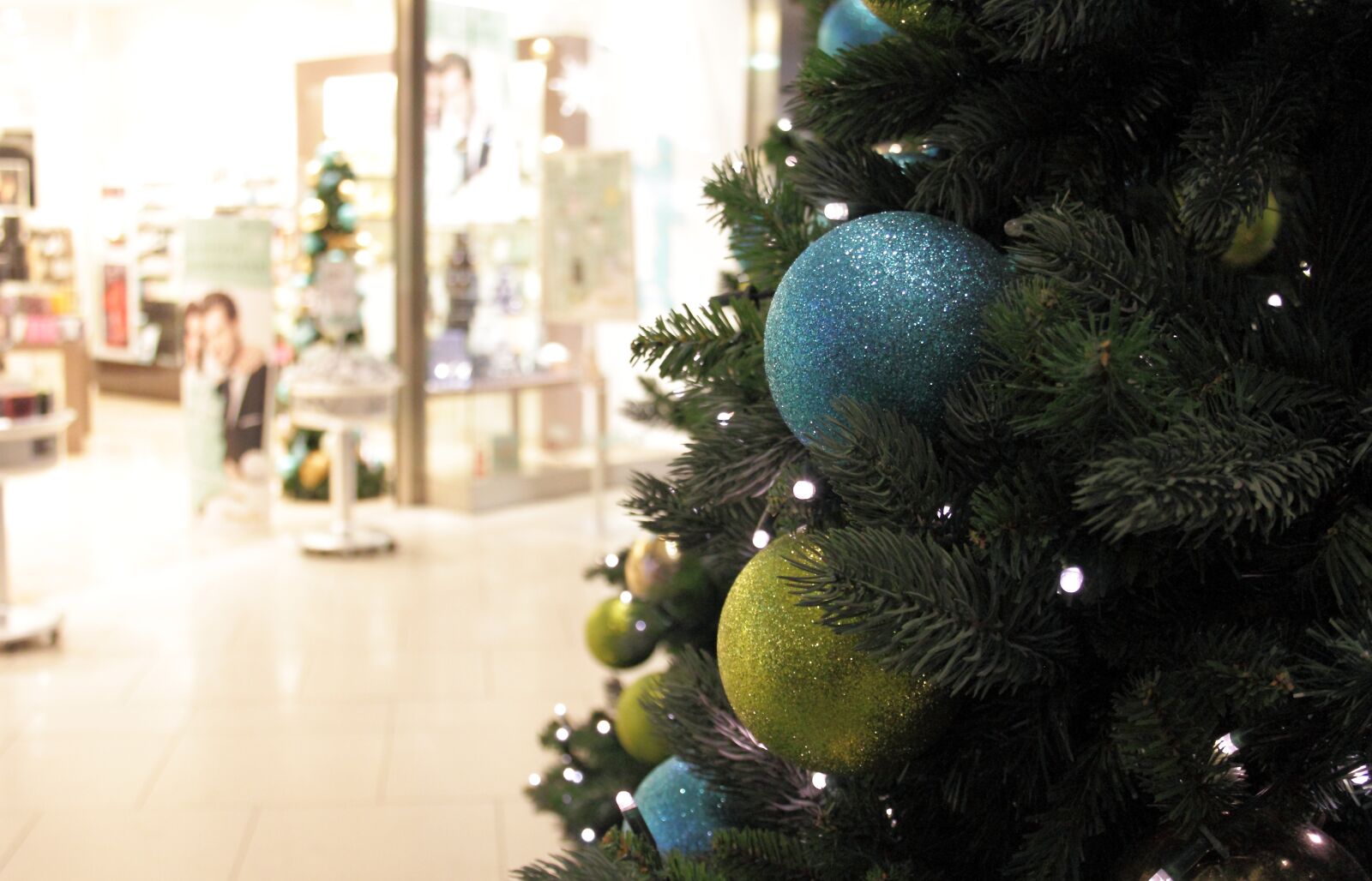 Canon EOS 500D (EOS Rebel T1i / EOS Kiss X3) sample photo. Tree, christmas tree, winter photography