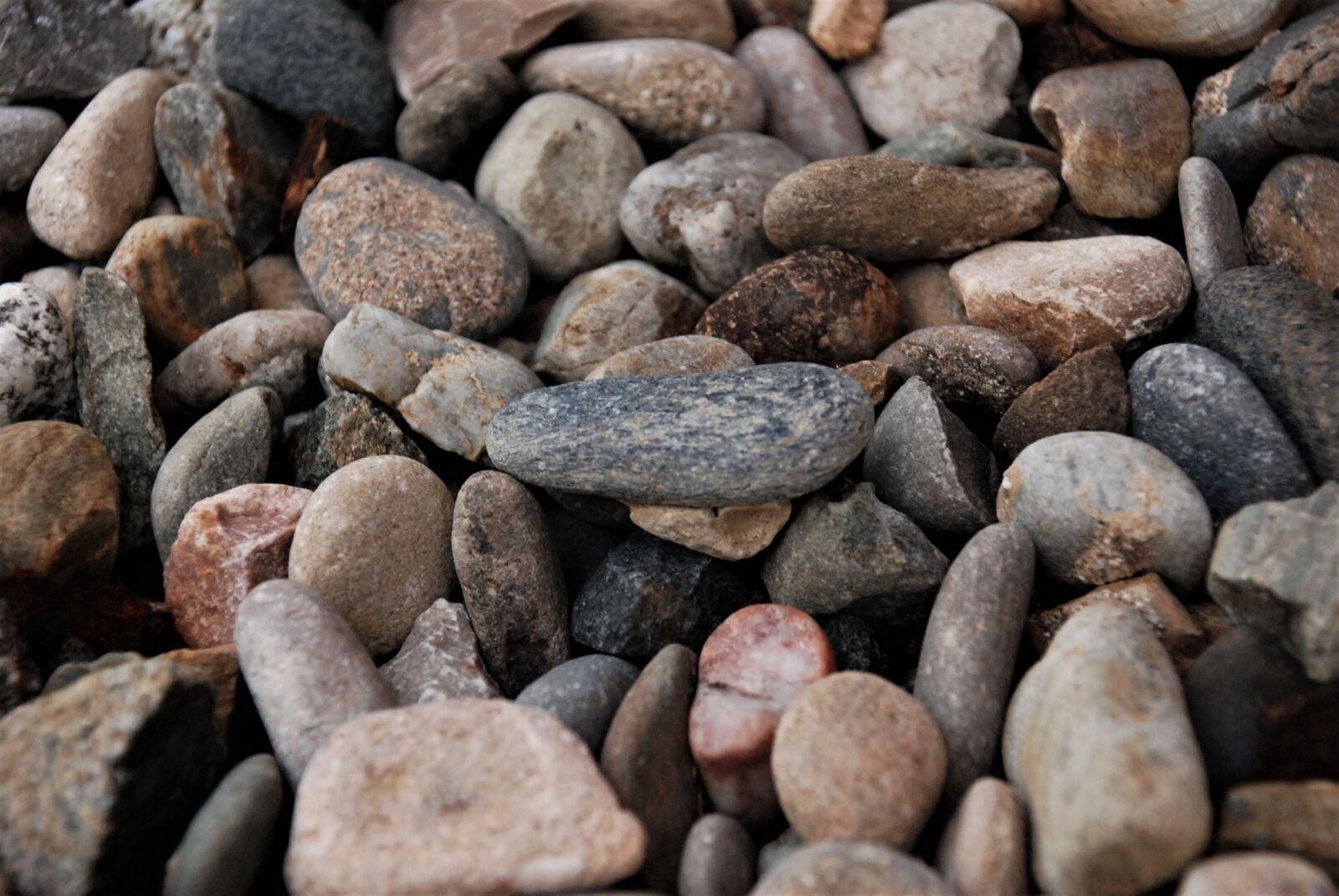 Nikon D80 sample photo. Stones, river stones, variety photography