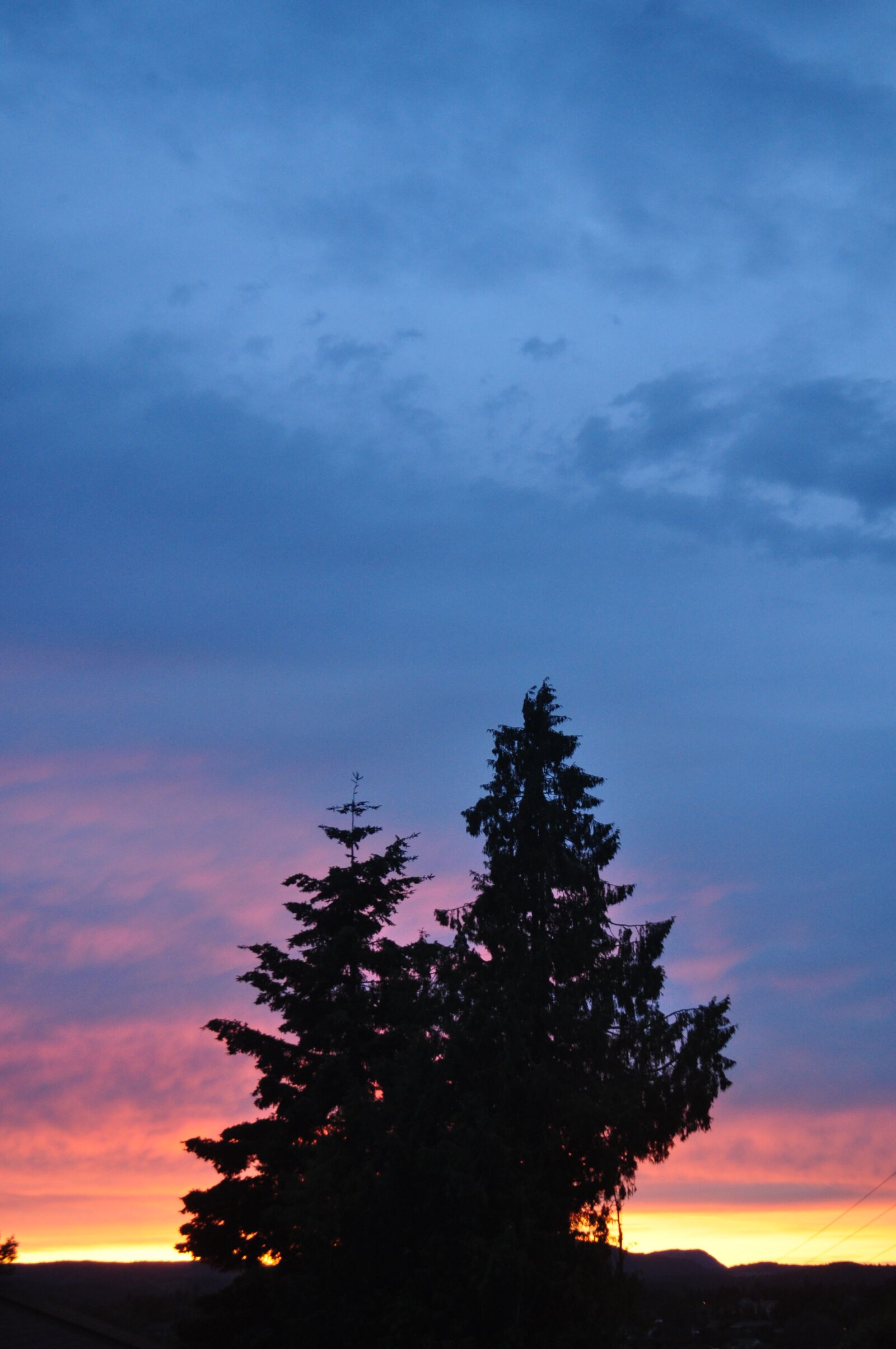 Nikon D5000 sample photo. Sky, sunset, tree photography