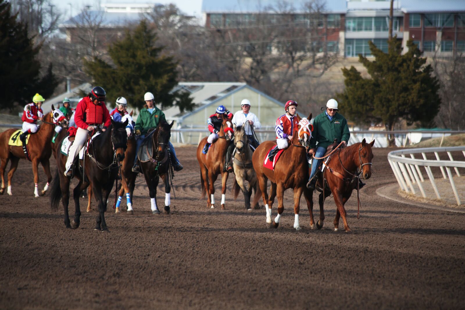 Canon EF 70-300mm F4-5.6 IS USM sample photo. Horses, horse racing, racetrack photography