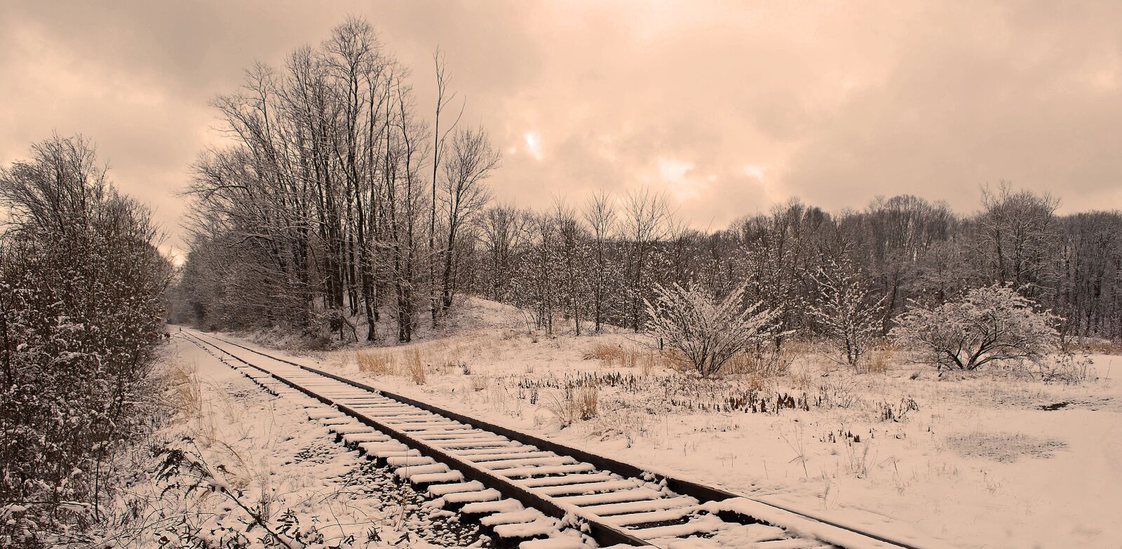 Nikon D60 sample photo. Railroad, tracks, perspective photography