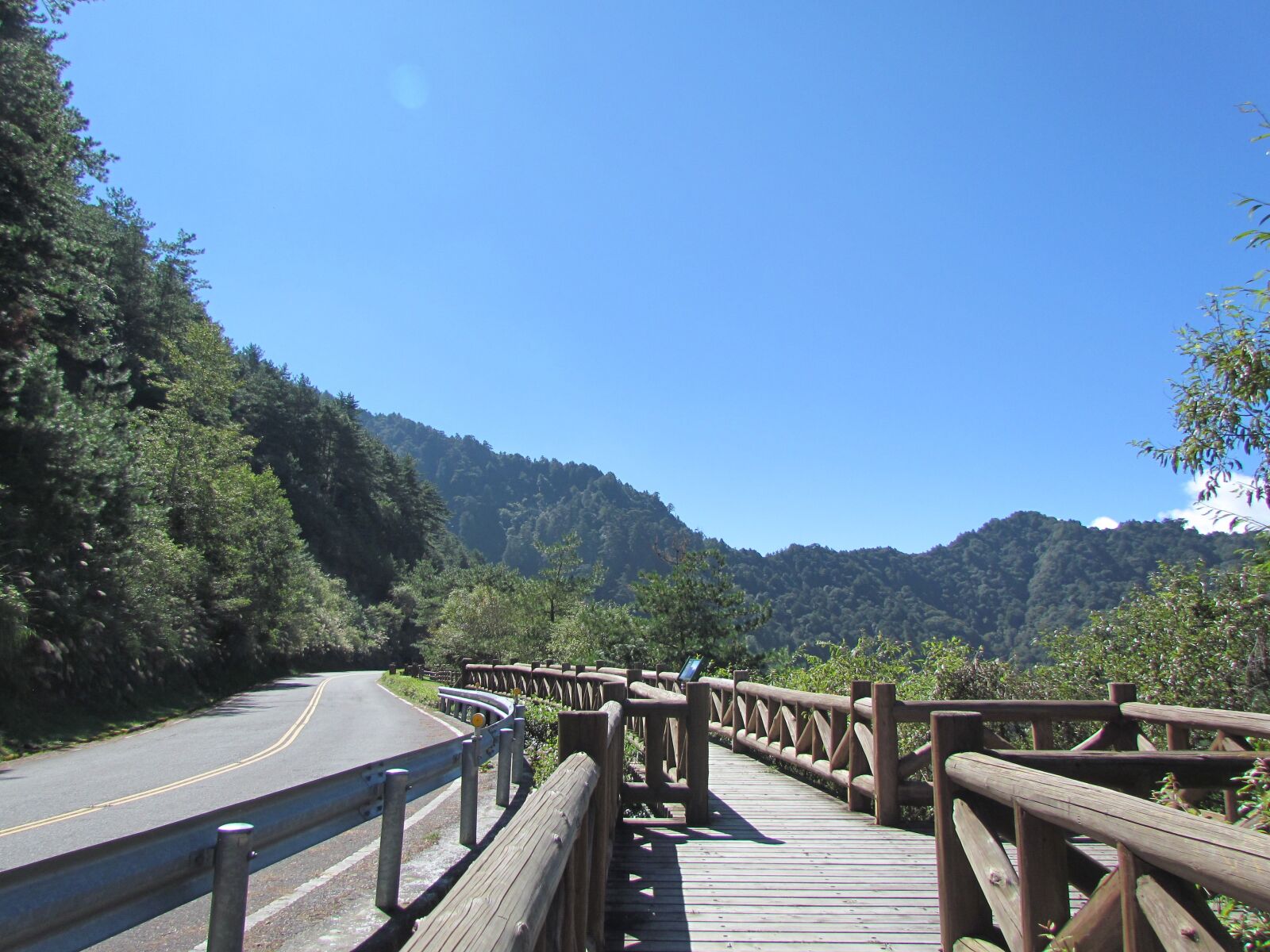 Canon PowerShot SX30 IS sample photo. Alishan national park, mountain photography