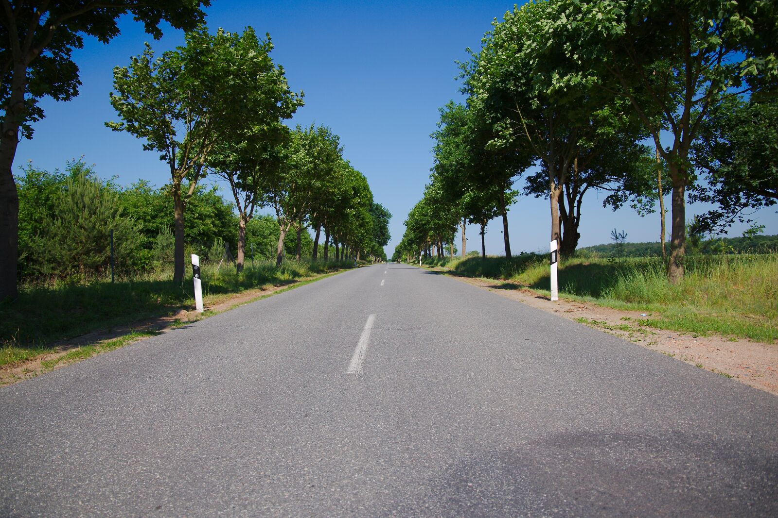 Canon EOS 6D sample photo. Road, instructions, asphalt photography