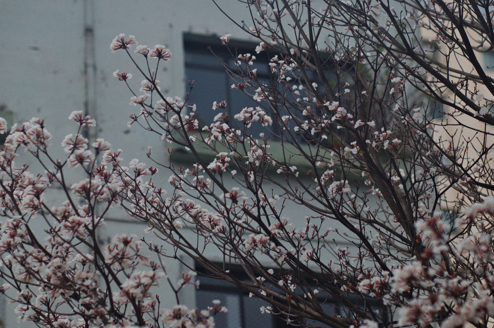 Nikon D90 sample photo