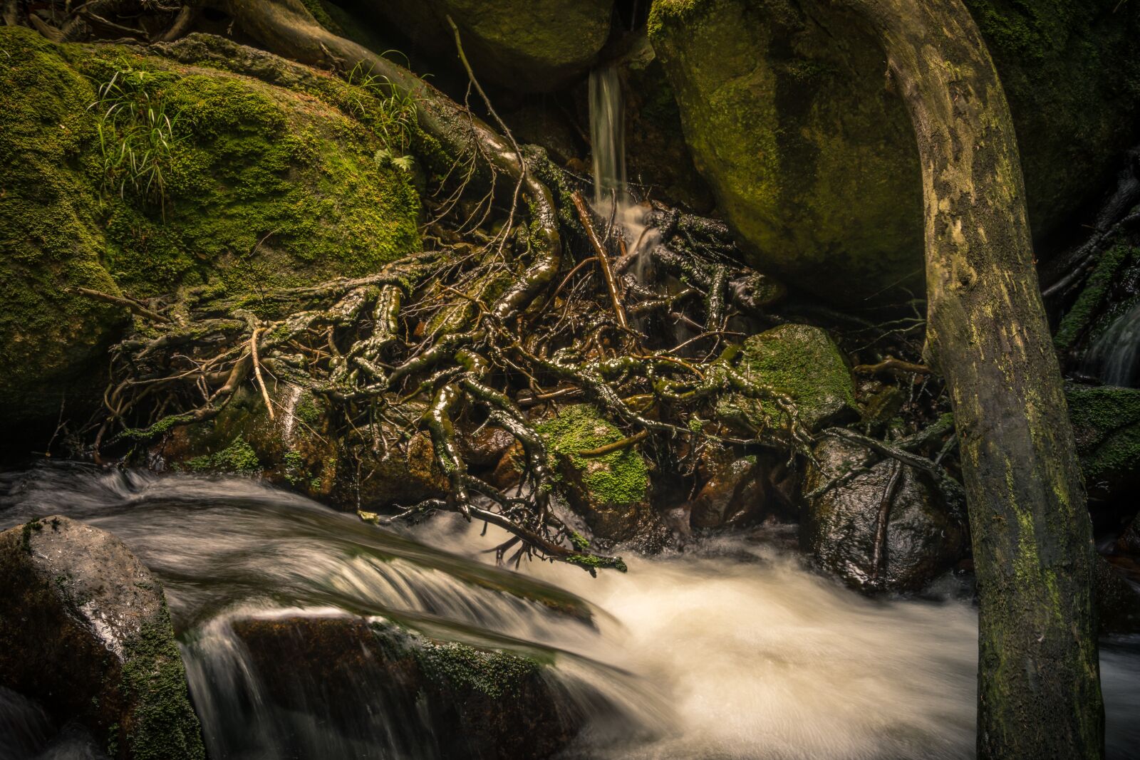 Nikon D7200 sample photo. Long exposure, landscape, waters photography