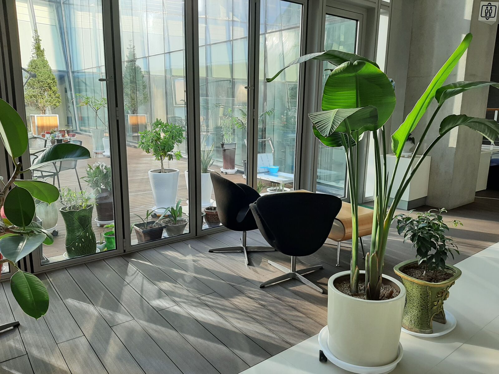 Samsung Galaxy A50 sample photo. Potted plant, company, building photography