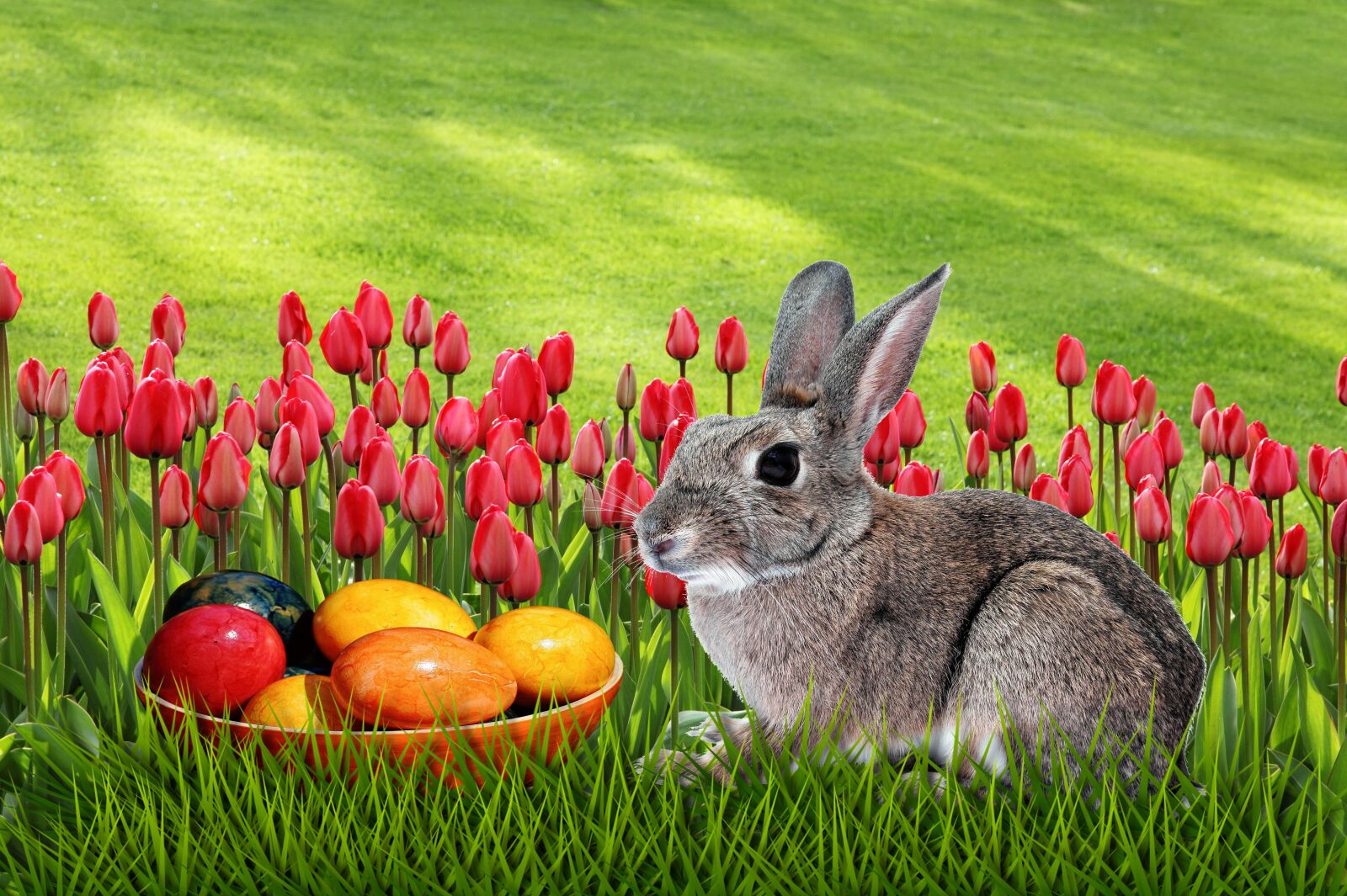 Canon EOS 5D Mark II sample photo. Grass, easter, meadow photography