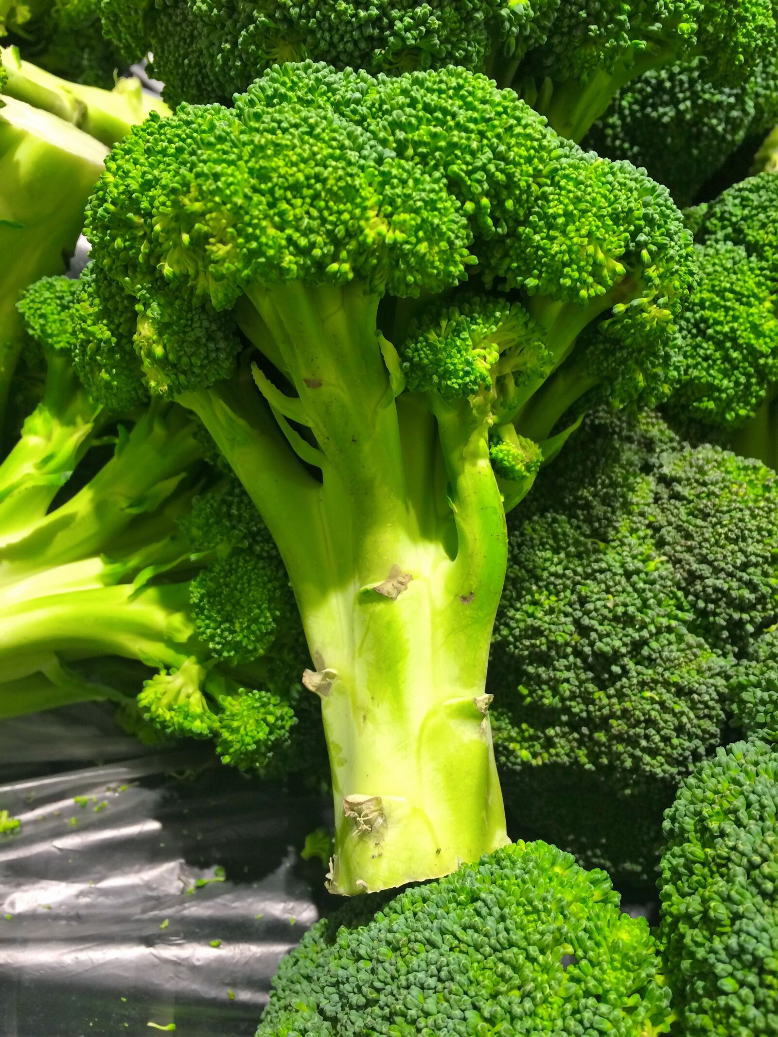 iPhone 5s back camera 4.15mm f/2.2 sample photo. Broccoli, green, seiyu ltd photography