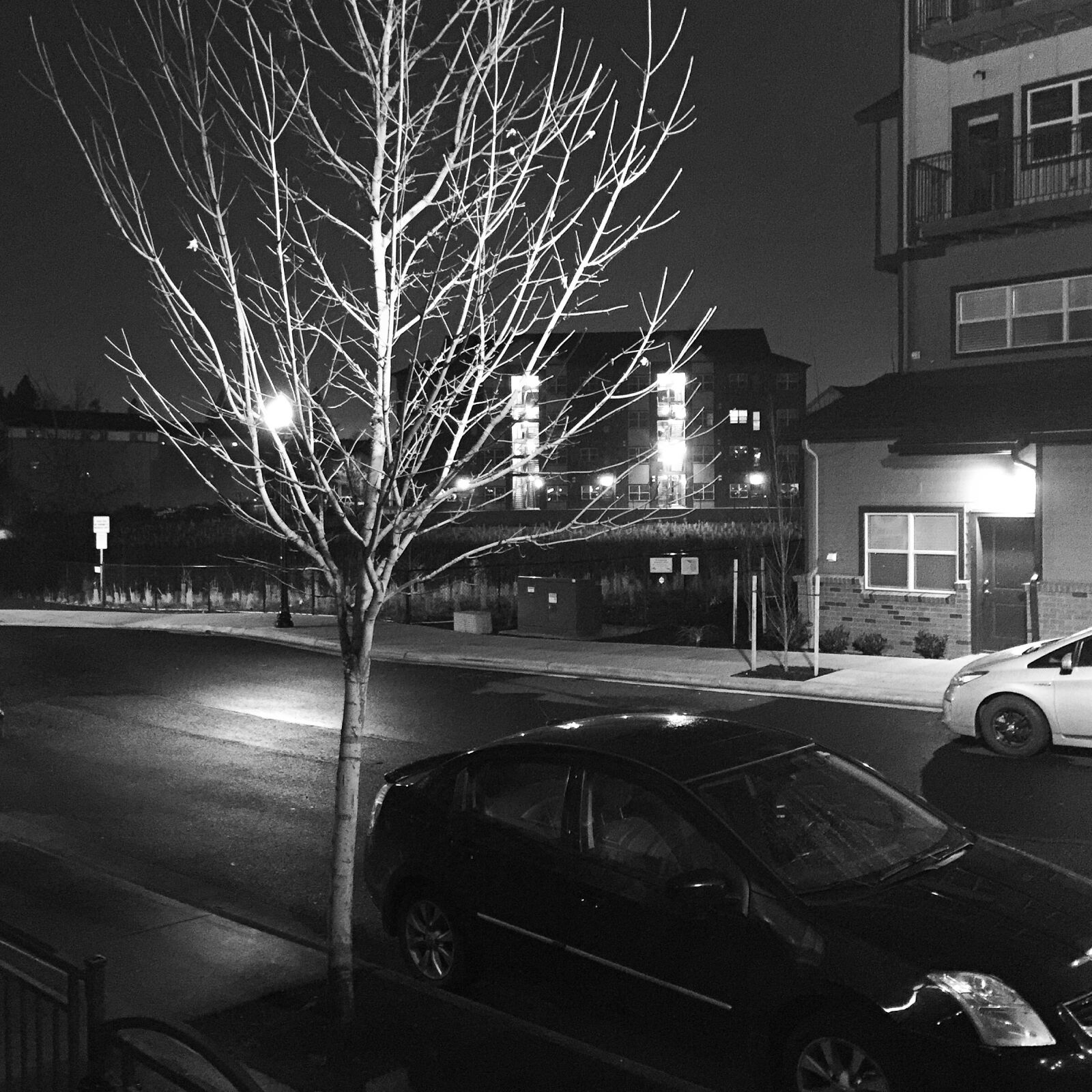 iPhone 6 Plus back camera 4.15mm f/2.2 sample photo. Photo365, photoaday, portland photography