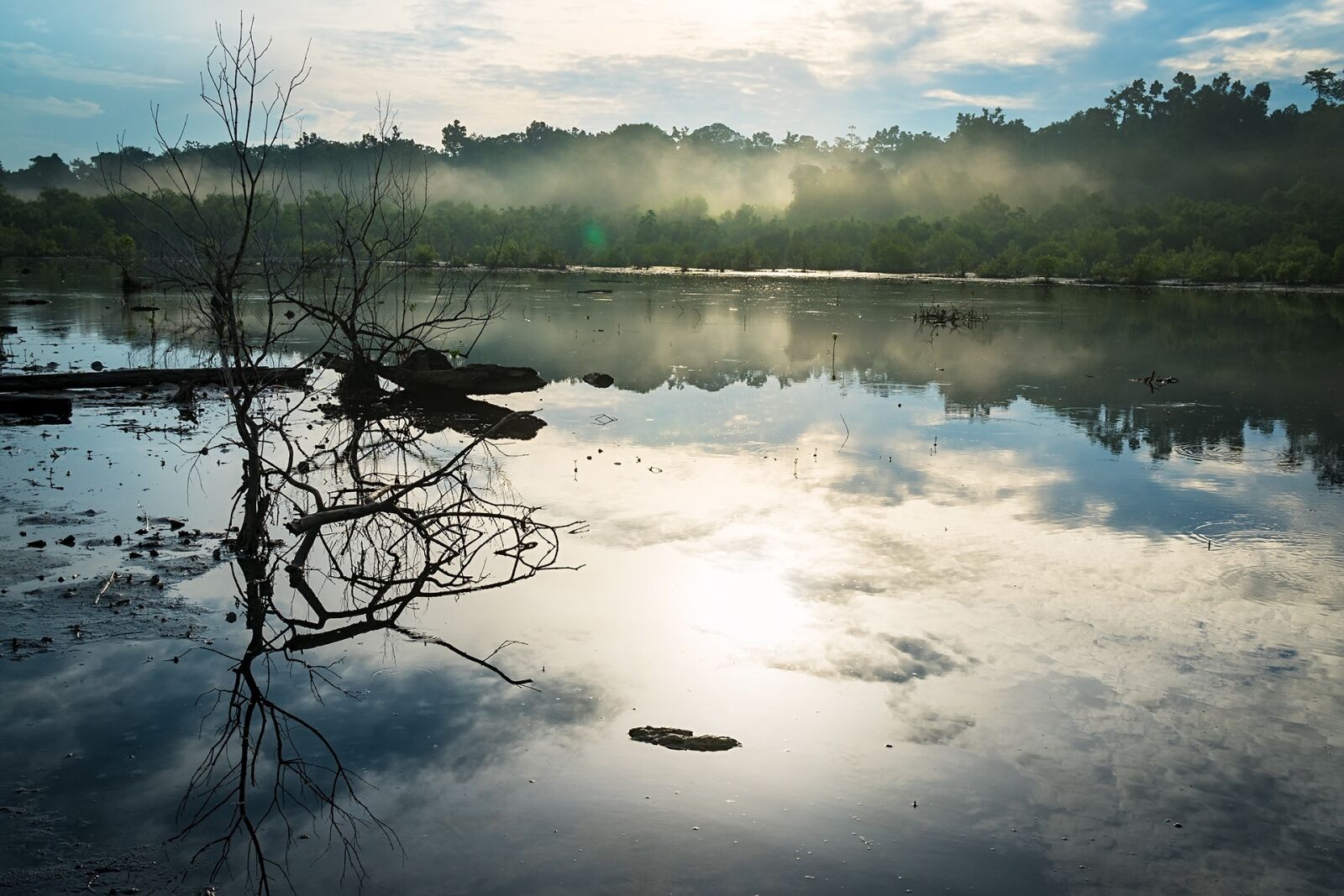 Sony a6300 sample photo. Swamp, misty, nature photography
