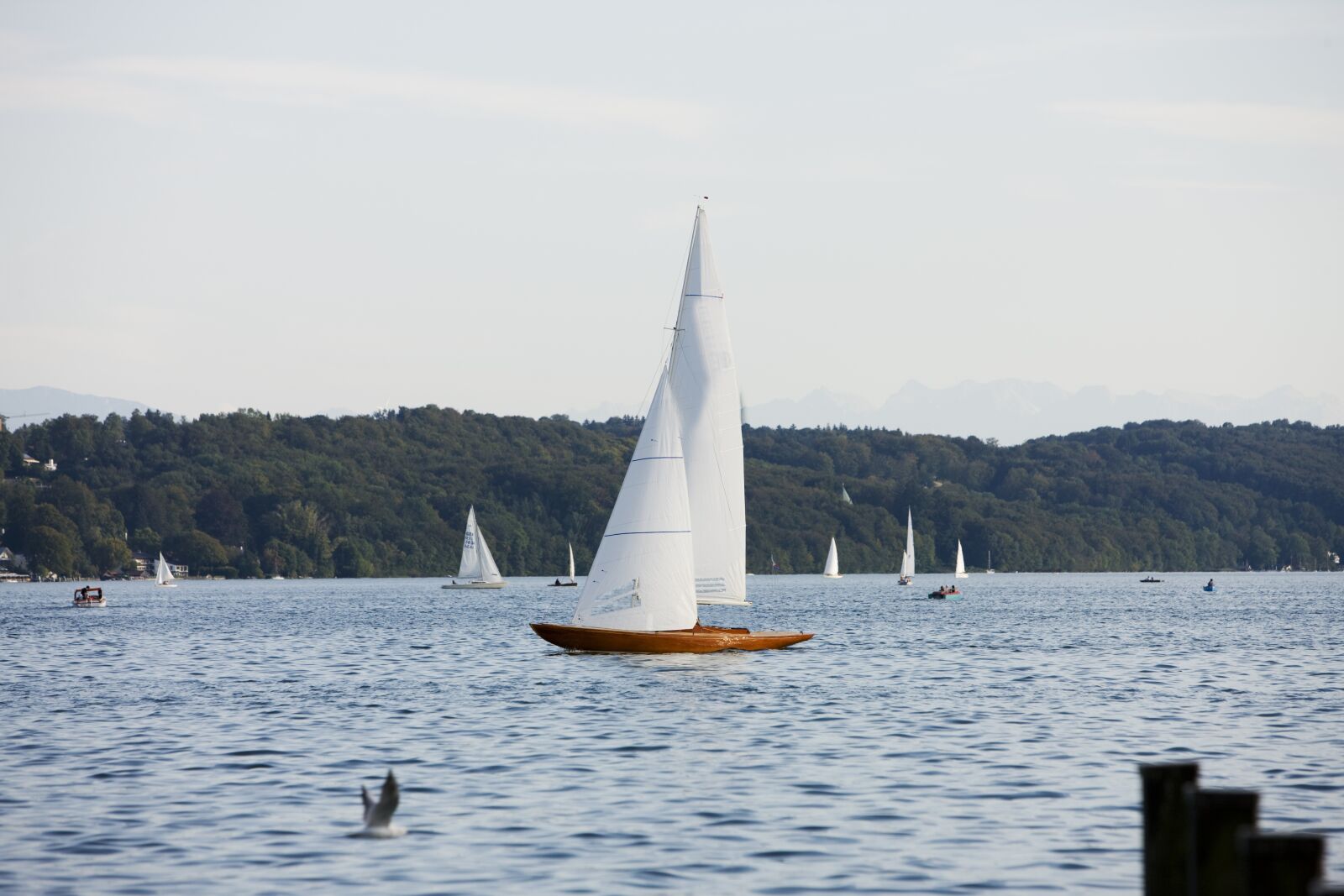 Canon EOS-1Ds Mark III sample photo. Starnberger see, starnberg, lake photography
