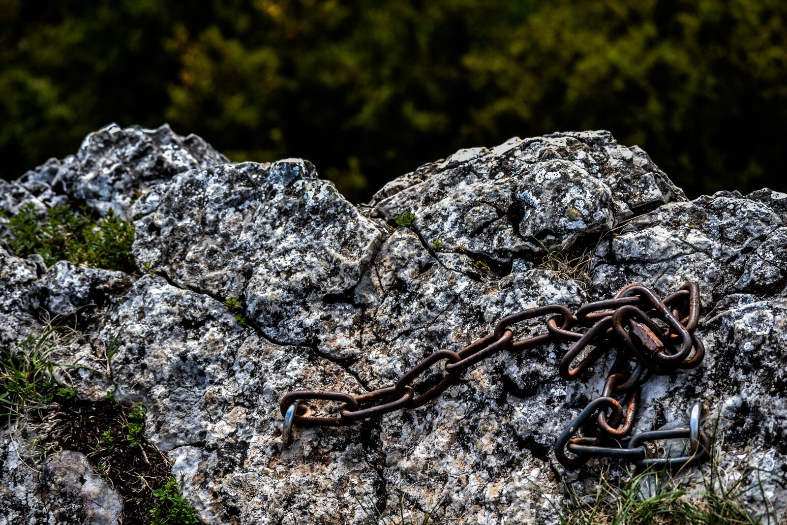 Nikon D3100 sample photo. Rock, nature, rocks photography