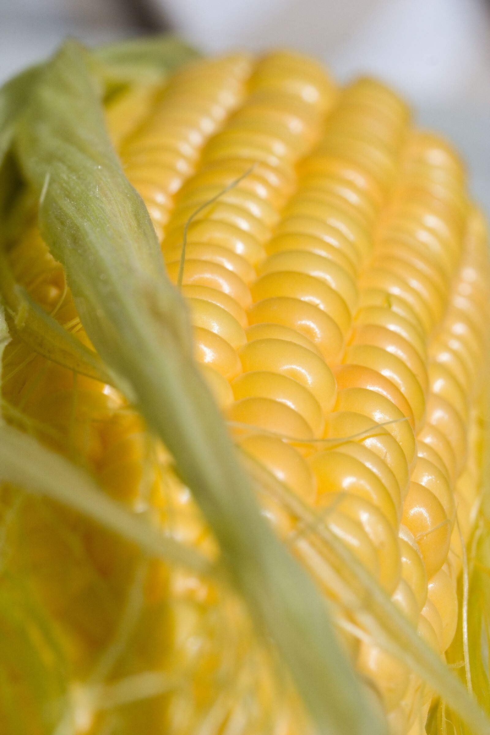 Canon EOS 350D (EOS Digital Rebel XT / EOS Kiss Digital N) sample photo. Corn, mat, closeup photography