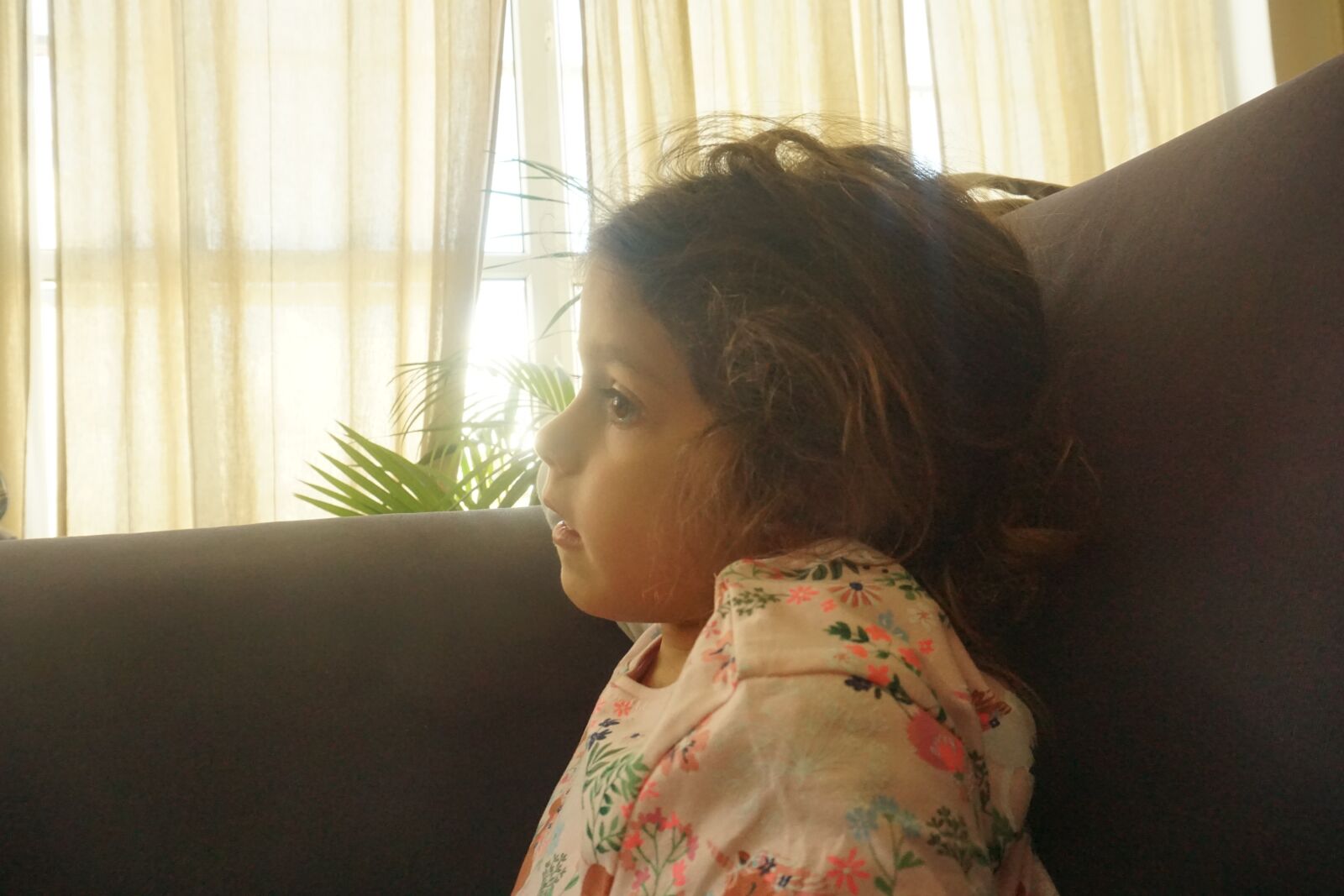 Sony a6000 sample photo. Girl, window, plant photography