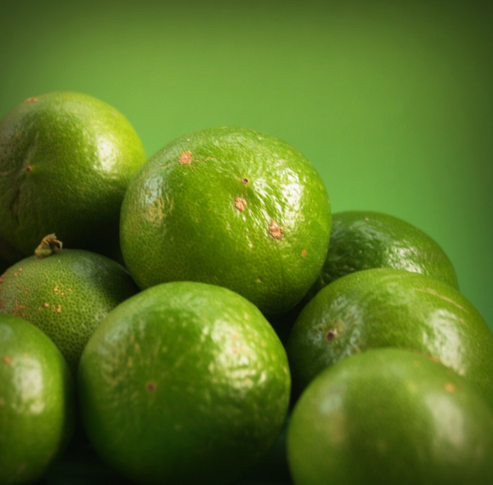 Olympus E-300 (EVOLT E-300) sample photo. Circle, citrus, citrus, fruit photography