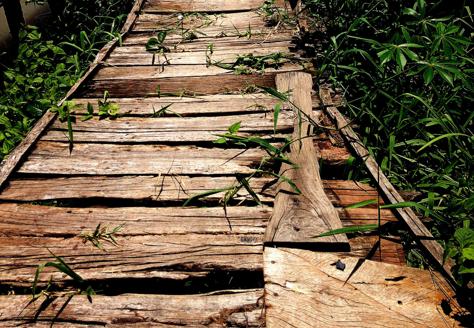 iPhone 5c back camera 4.12mm f/2.4 sample photo. Abstract, bridge, vietnam, wood photography