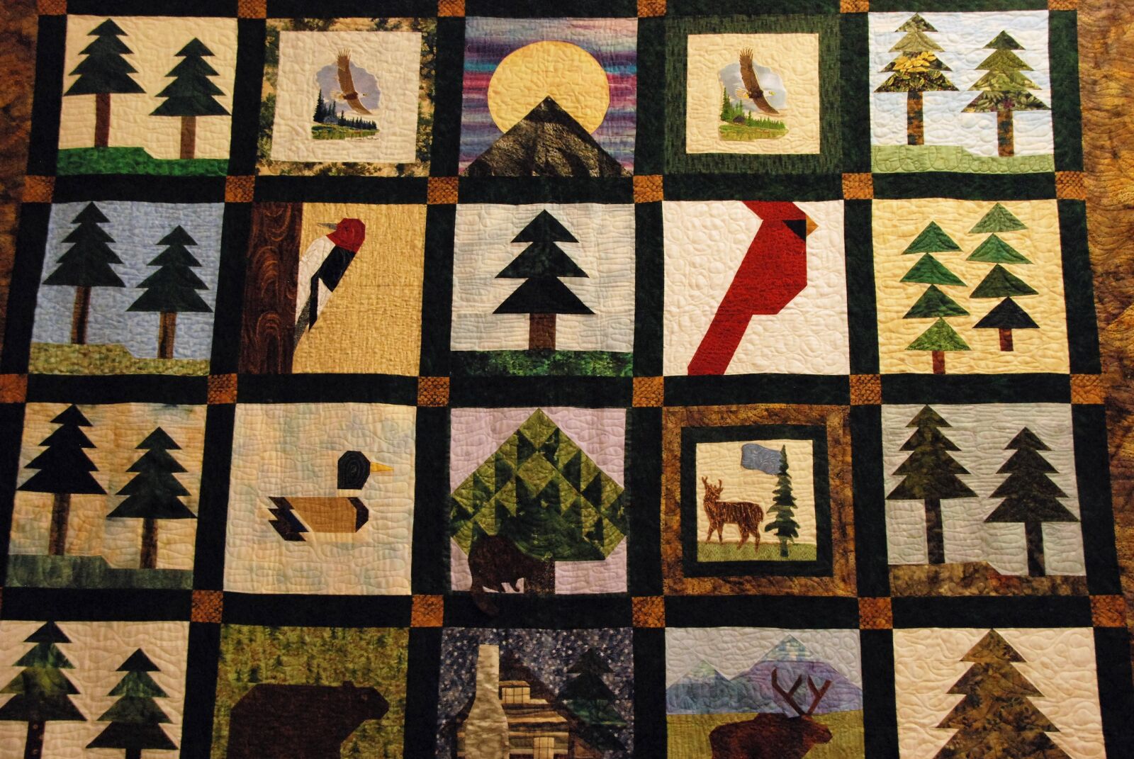 Nikon D80 sample photo. Quilt, quilting, lap photography