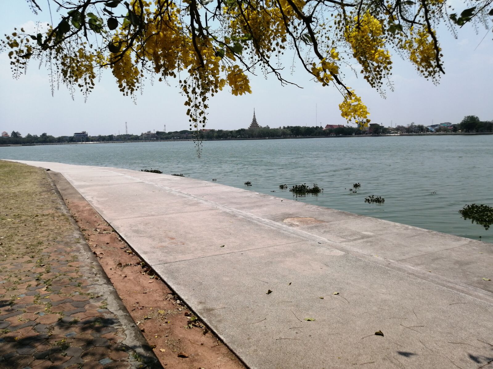 HUAWEI P30 LITE sample photo. Khonkaen, thailand, travel photography