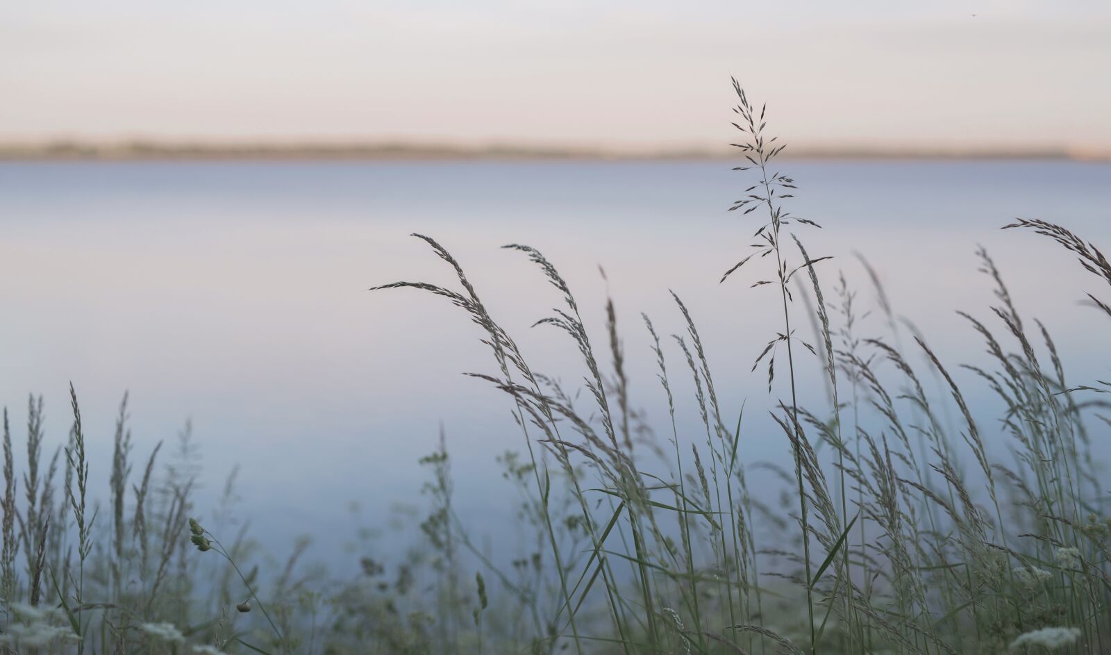 Nikon D750 sample photo. Lake, denmark, sunset photography