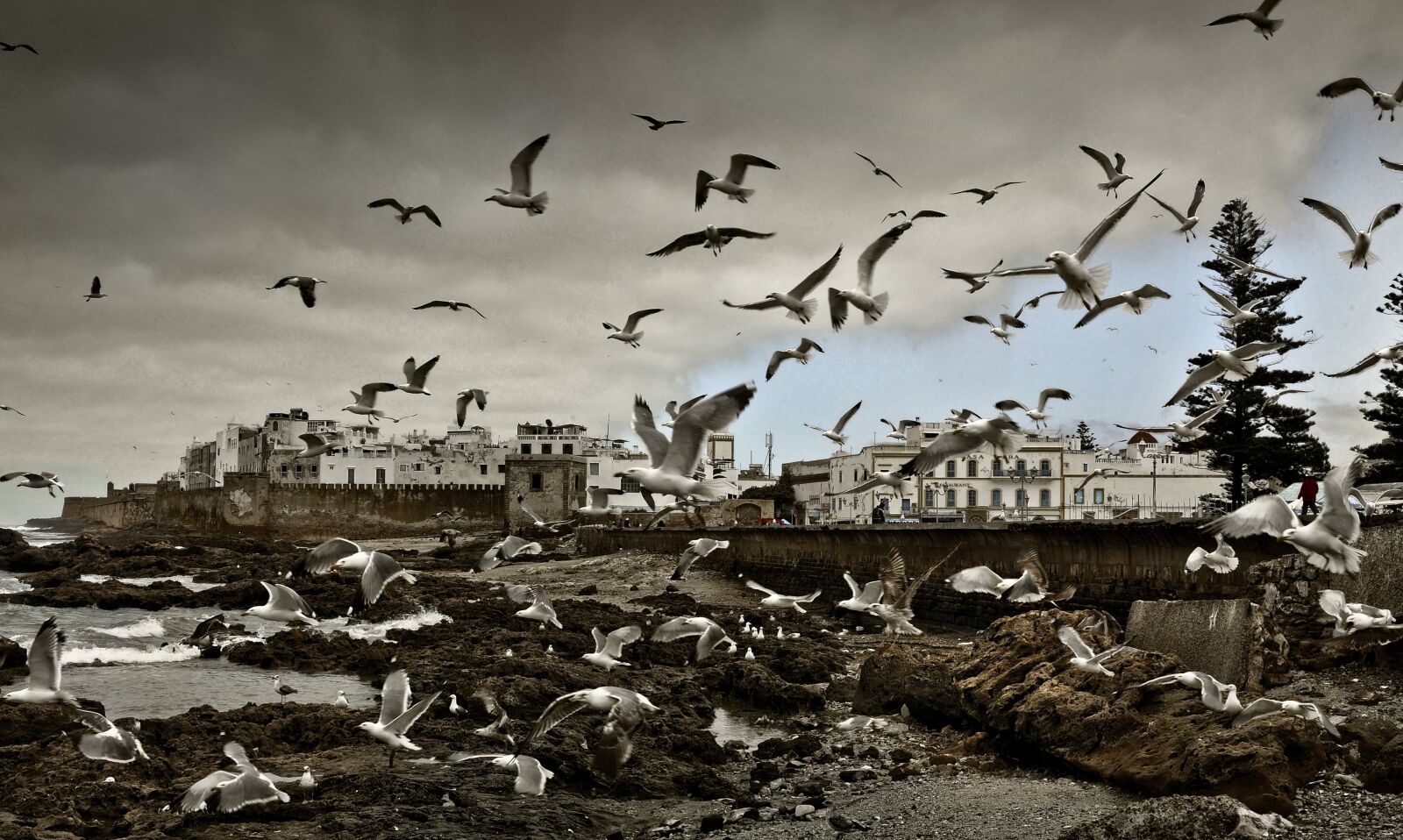 Nikon D700 sample photo. Morocco, essauria, beach photography