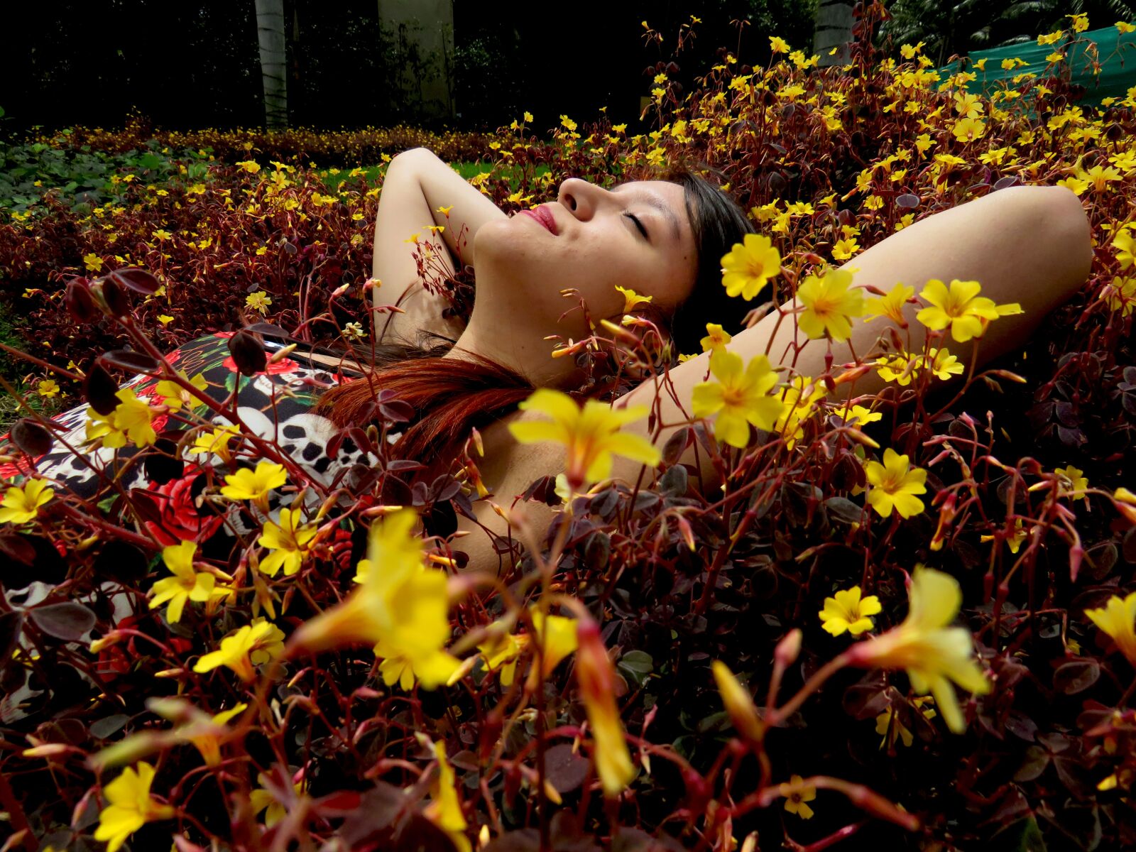 Canon PowerShot SX540 HS sample photo. Women, flowers, yellow photography