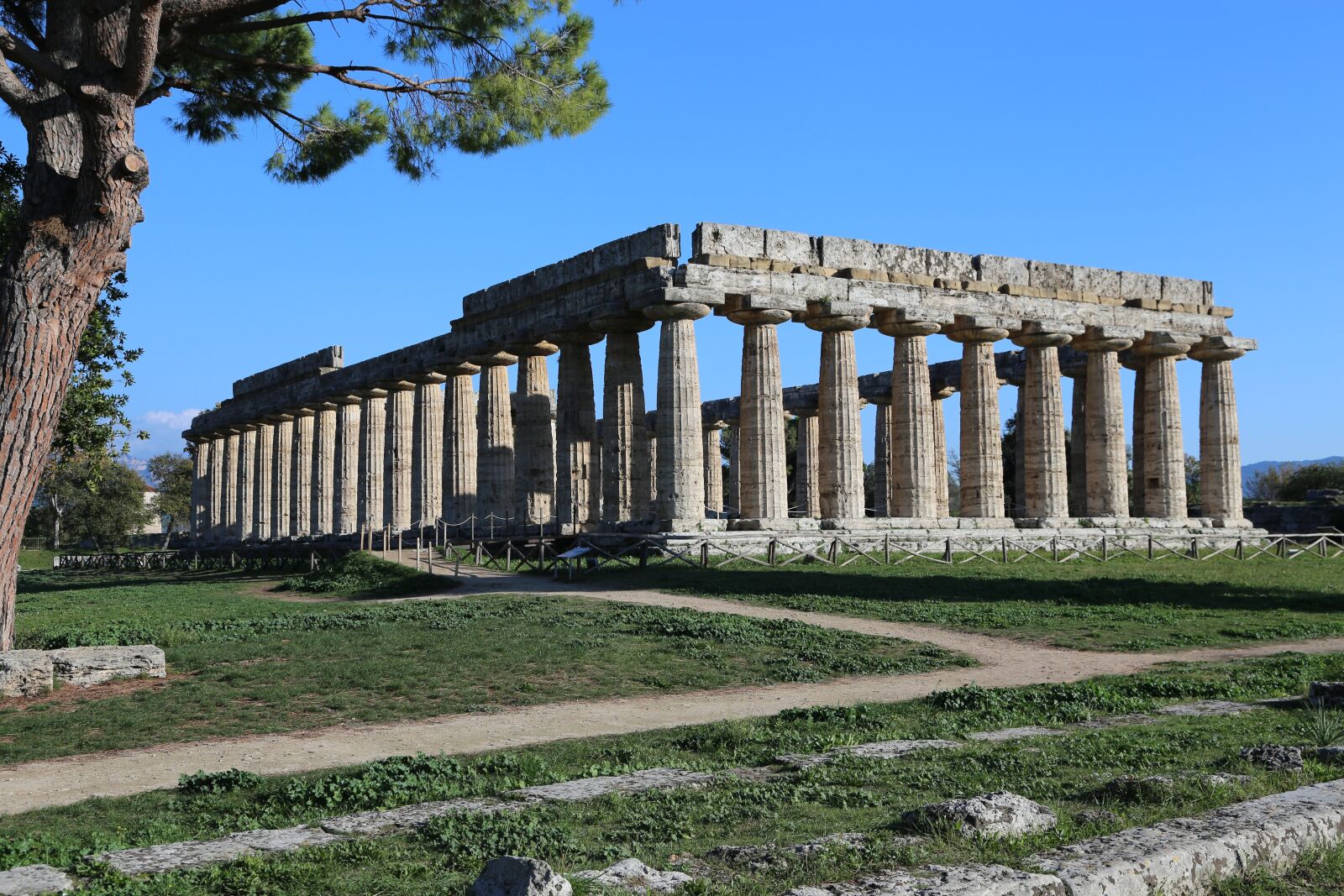 Canon EOS 6D + Canon EF 24-105mm F4L IS USM sample photo. Temple, paestum, places of photography