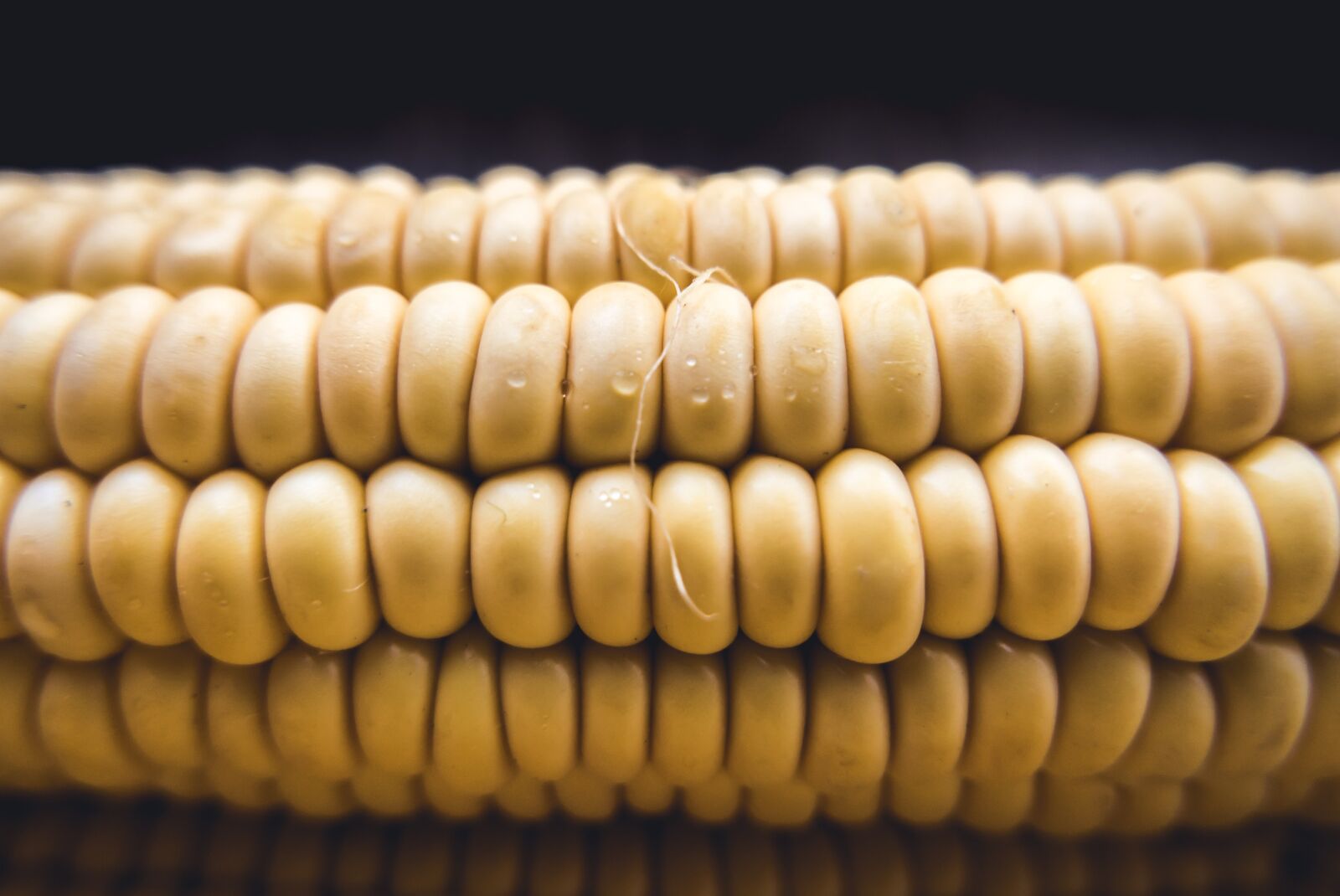 Panasonic Lumix DMC-LX100 sample photo. Corn, cob, sweet photography